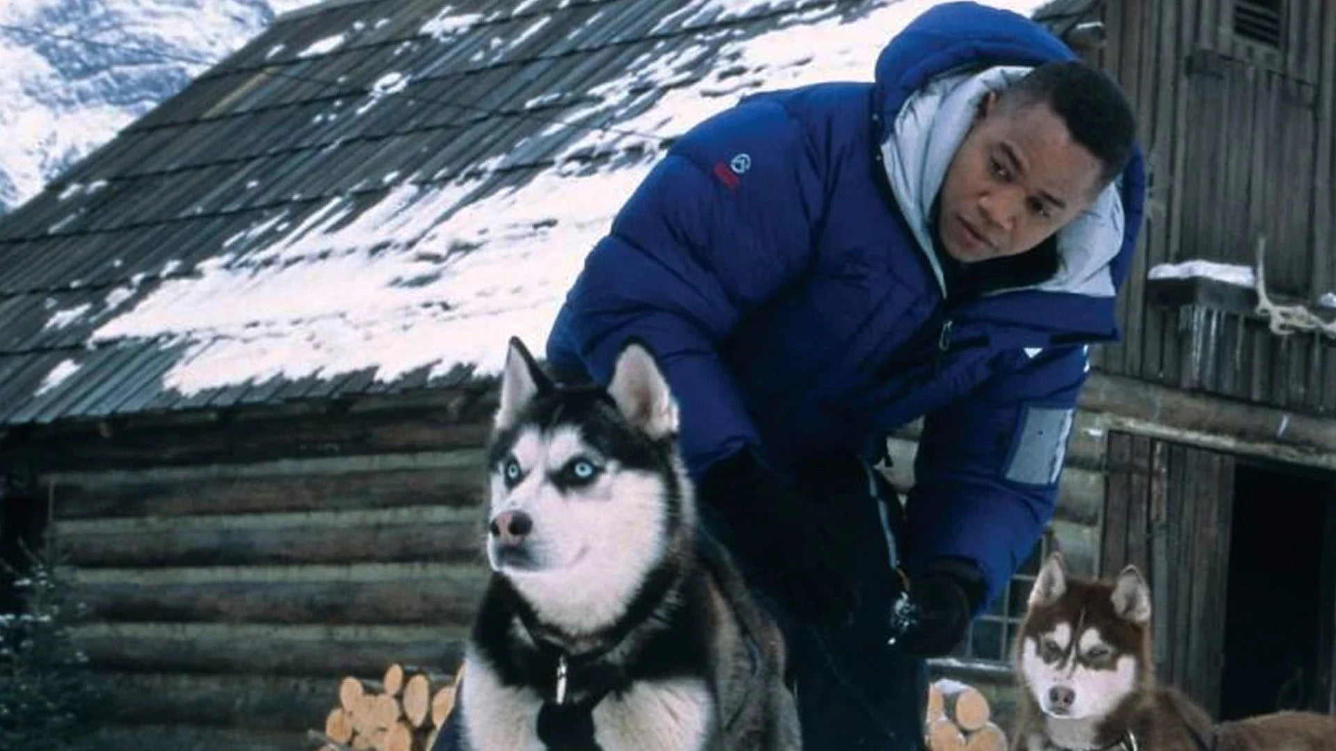 Perfect Snow Dogs (2002) Man Cave wall filler - Popcorn Poster Gallery
