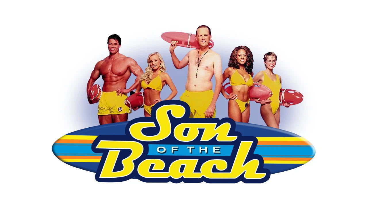 Perfect Son of the Beach (2000) Man Cave wall filler - Popcorn Poster Gallery