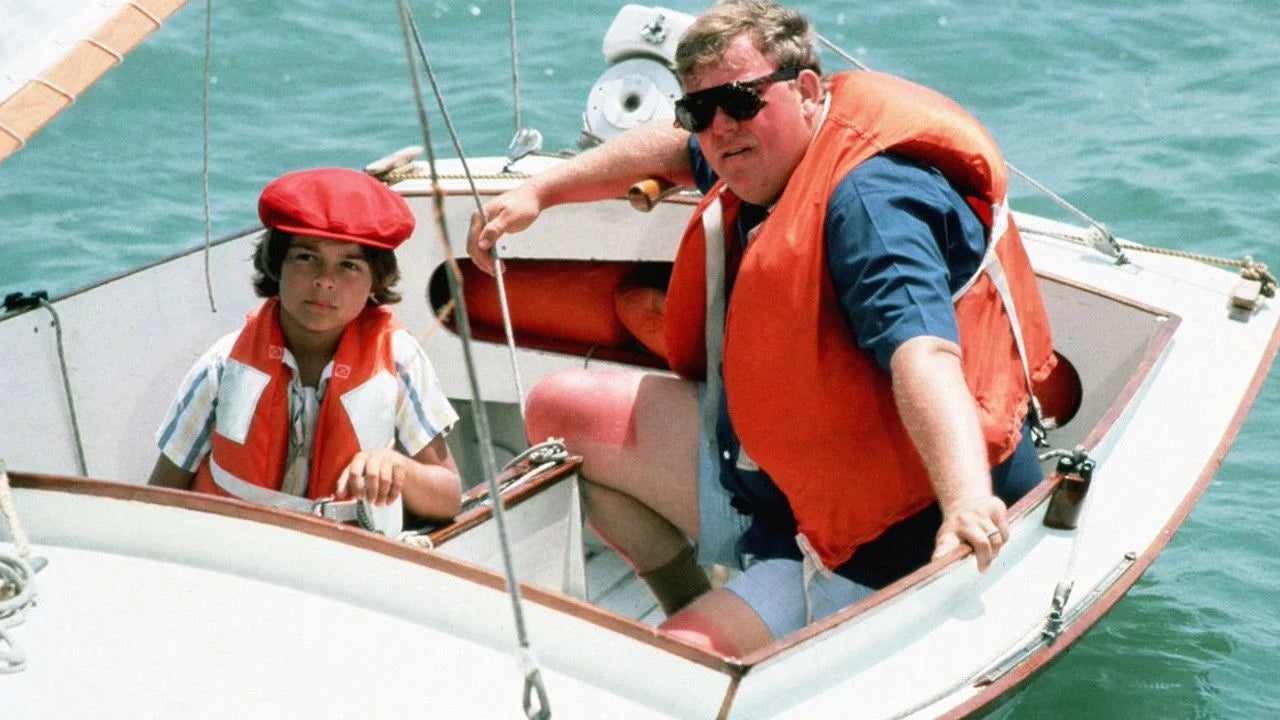 Perfect Summer Rental (1985) Man Cave wall filler - Popcorn Poster Gallery