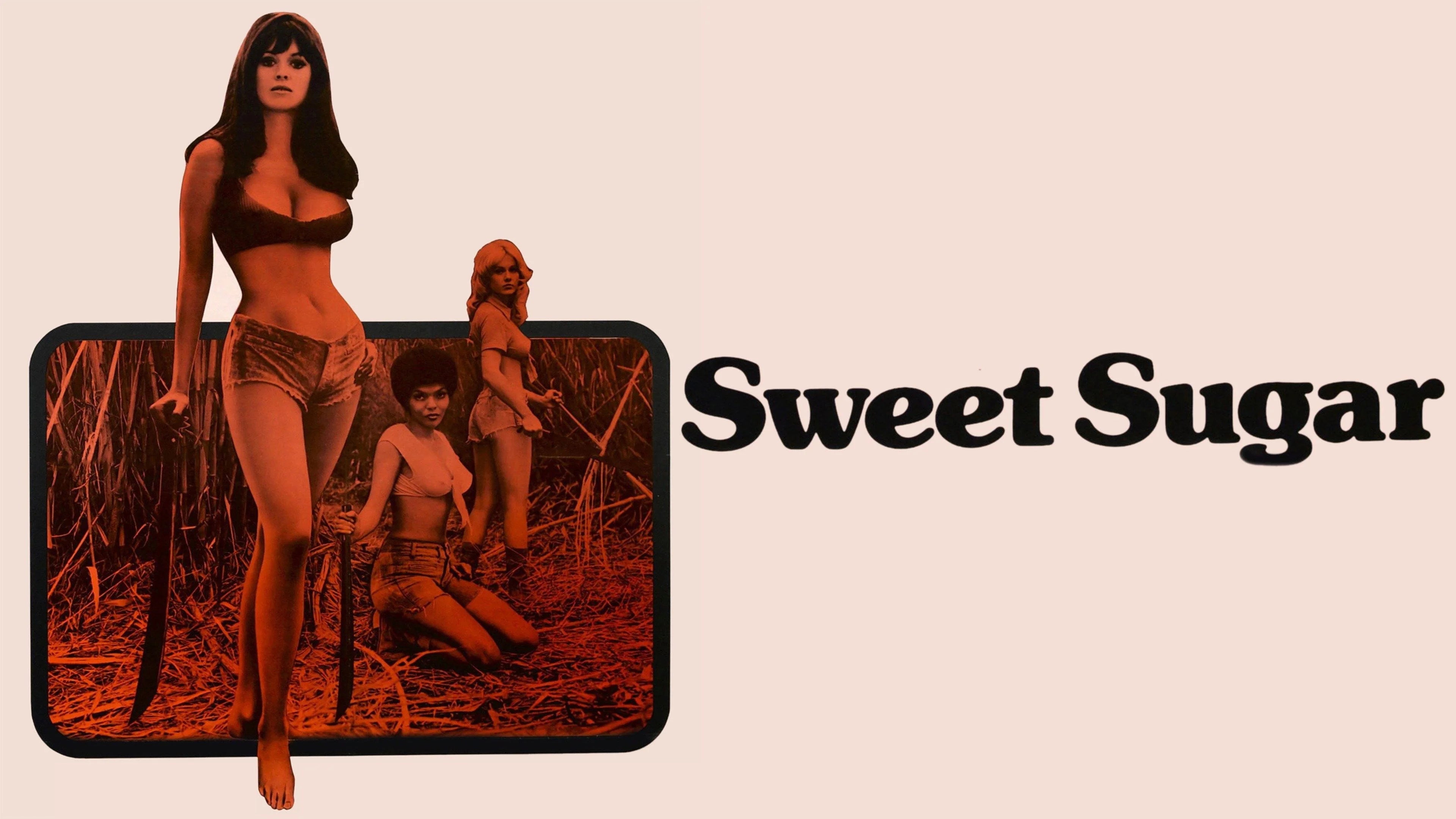 Perfect Sweet Sugar (1972) Man Cave wall filler - Popcorn Poster Gallery
