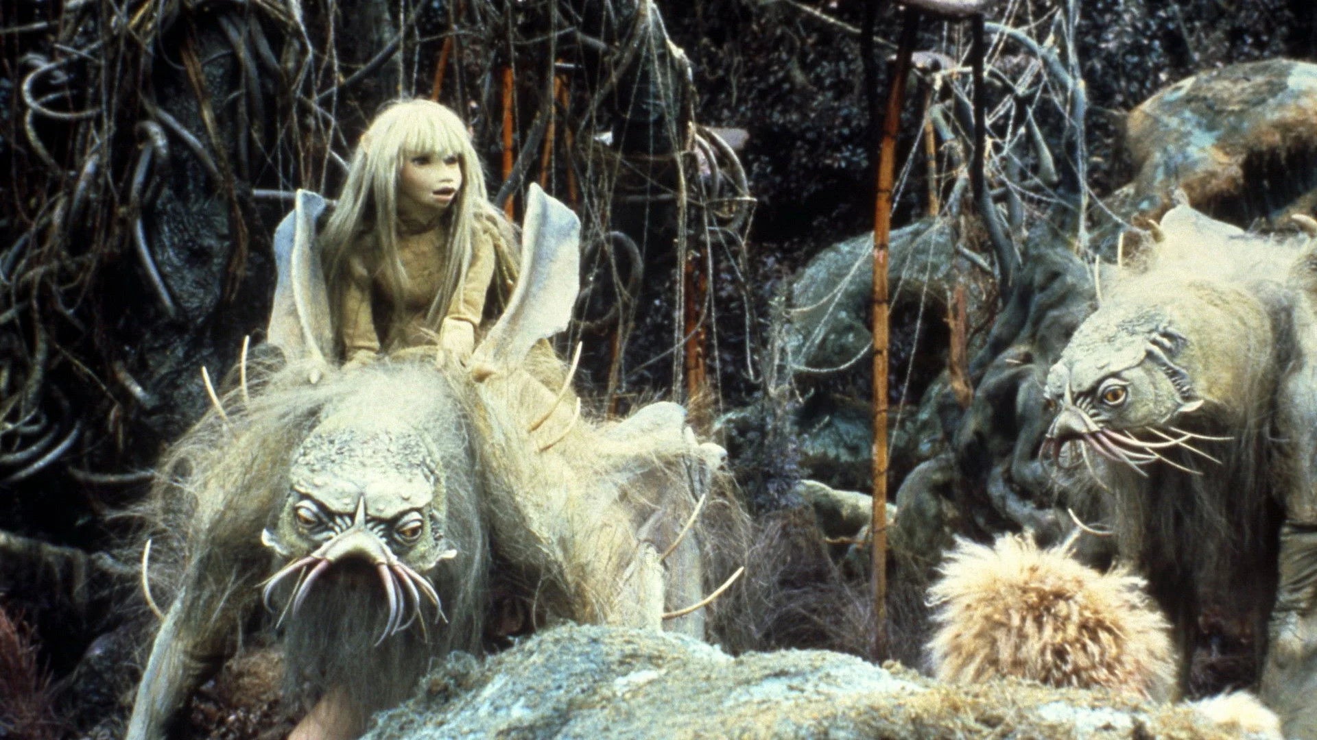 Perfect The Dark Crystal (1982) Man Cave wall filler - Popcorn Poster Gallery