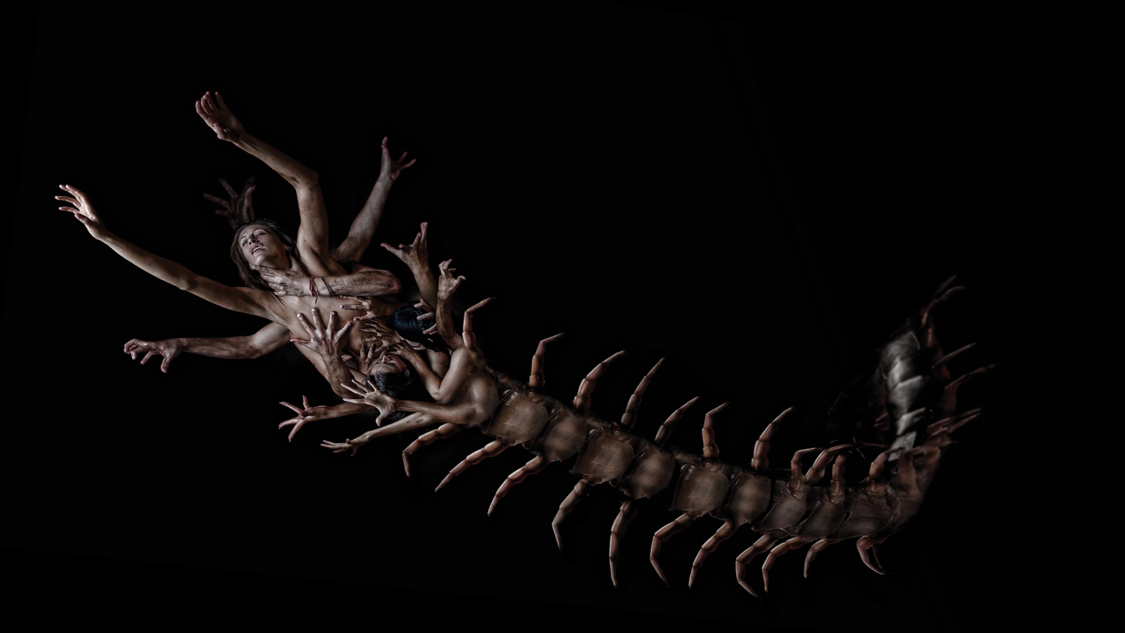 Perfect The Human Centipede 2 (Full Sequence) (2011) Man Cave wall filler - Popcorn Poster Gallery