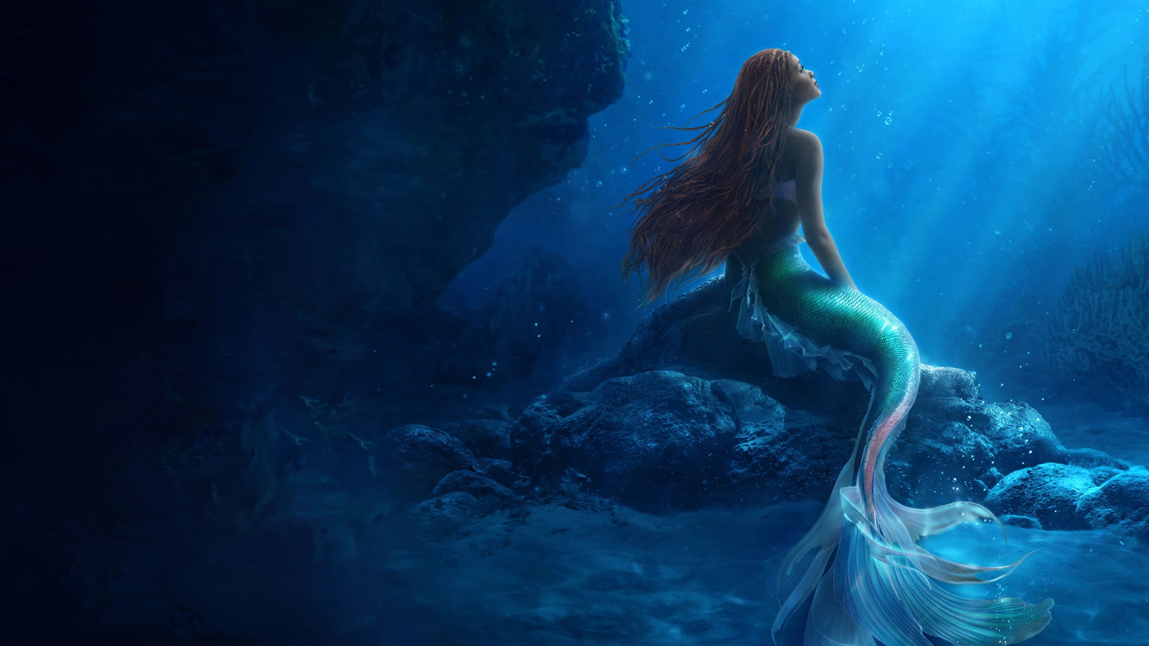 Perfect The Little Mermaid (2023) Man Cave wall filler - Popcorn Poster Gallery