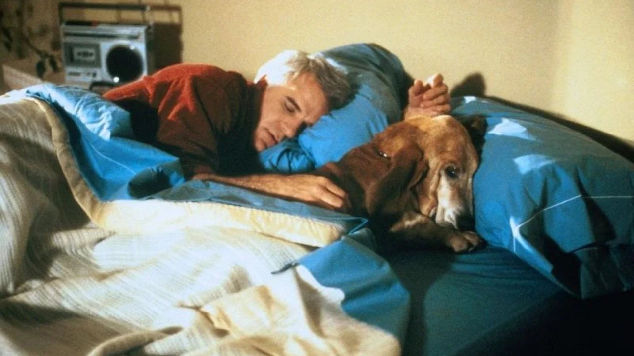 Perfect The Lonely Guy (1984) Man Cave wall filler - Popcorn Poster Gallery