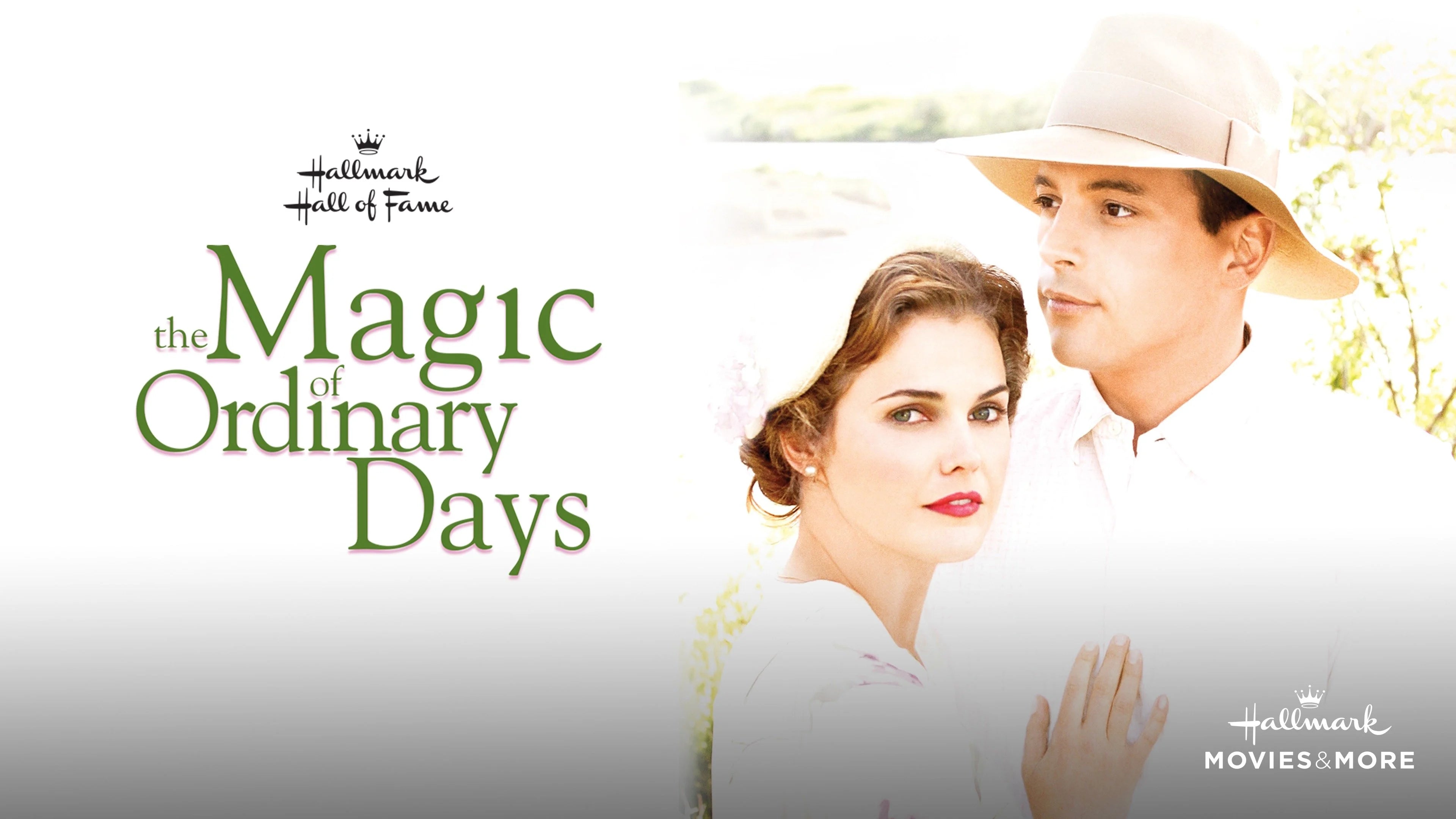 Perfect The Magic of Ordinary Days (2005) Man Cave wall filler - Popcorn Poster Gallery