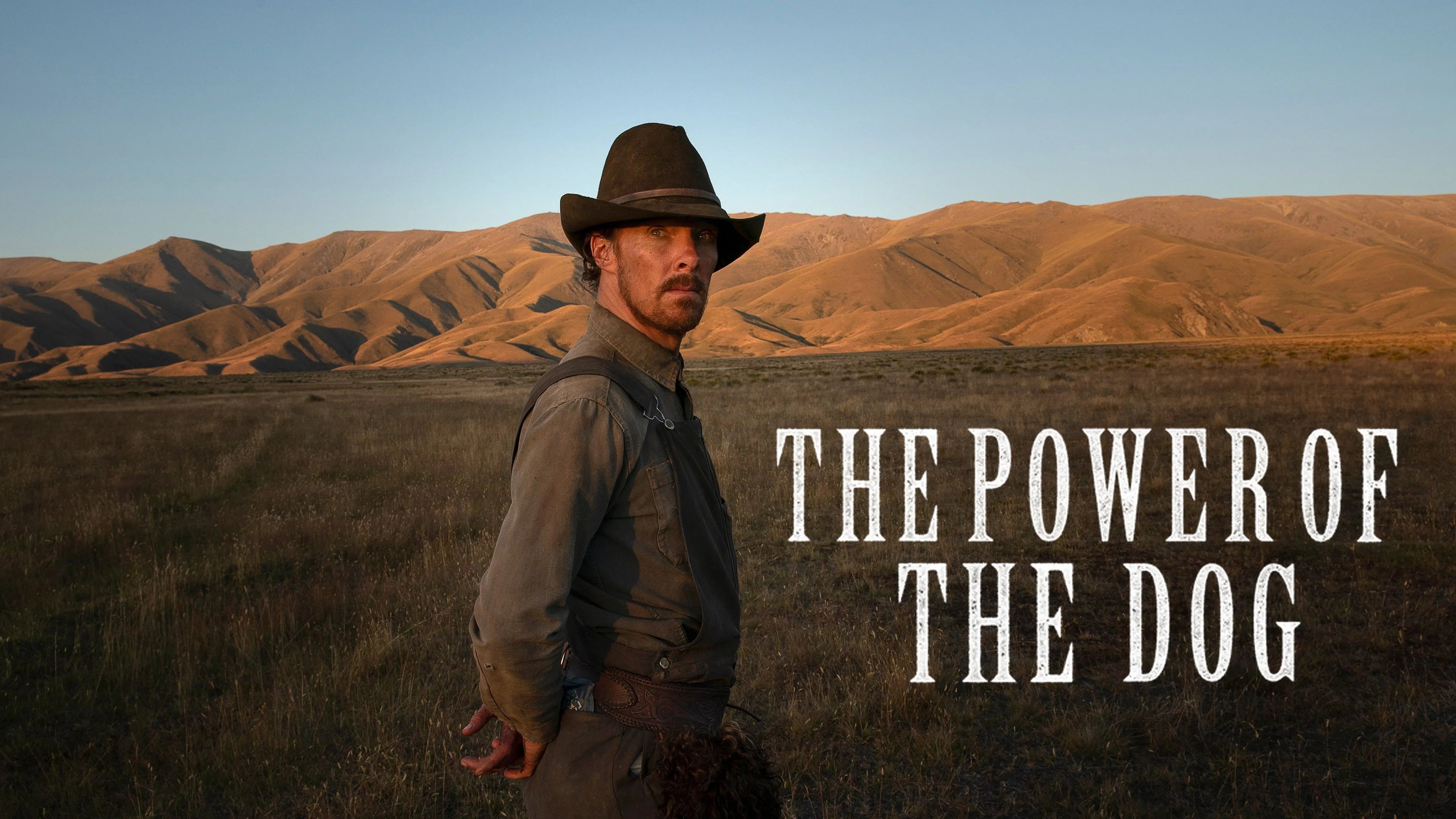 Perfect The Power of the Dog (2021) Man Cave wall filler - Popcorn Poster Gallery