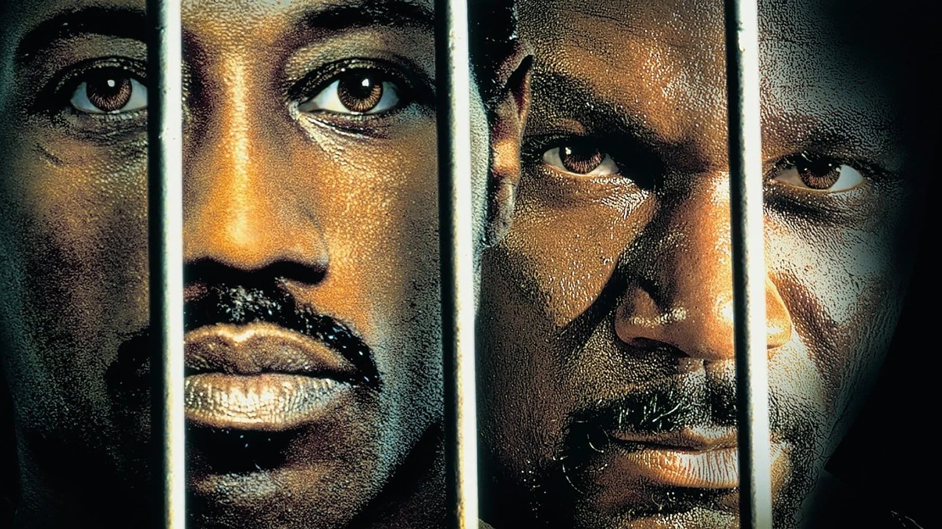 Perfect Undisputed (2002) Man Cave wall filler - Popcorn Poster Gallery