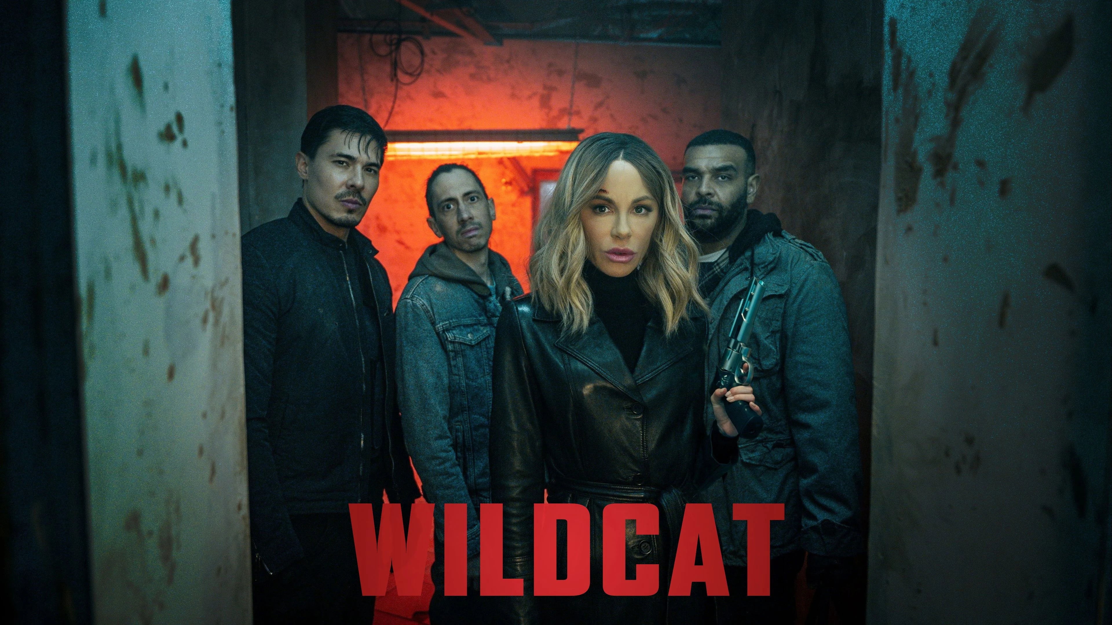 Perfect Wildcat (2025) Man Cave wall filler - Popcorn Poster Gallery