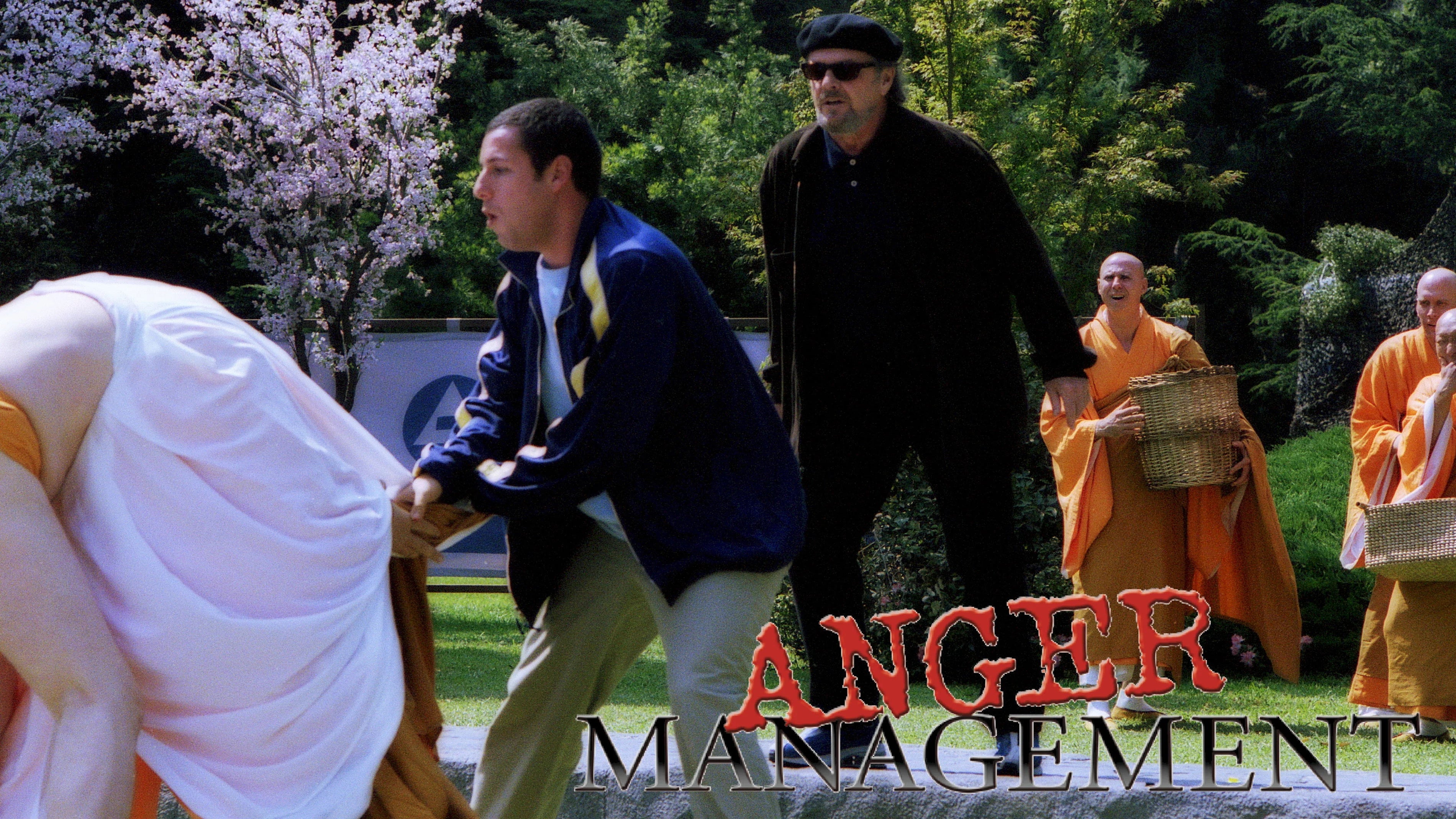 Unique Anger Management (2003) gift ideas - Available at Popcorn Poster