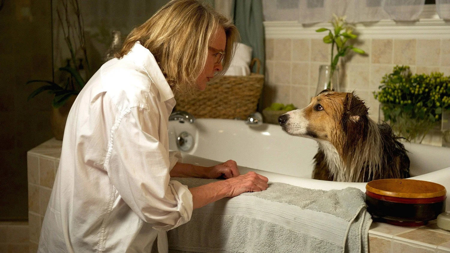 Unique Darling Companion (2012) gift ideas - Available at Popcorn Poster