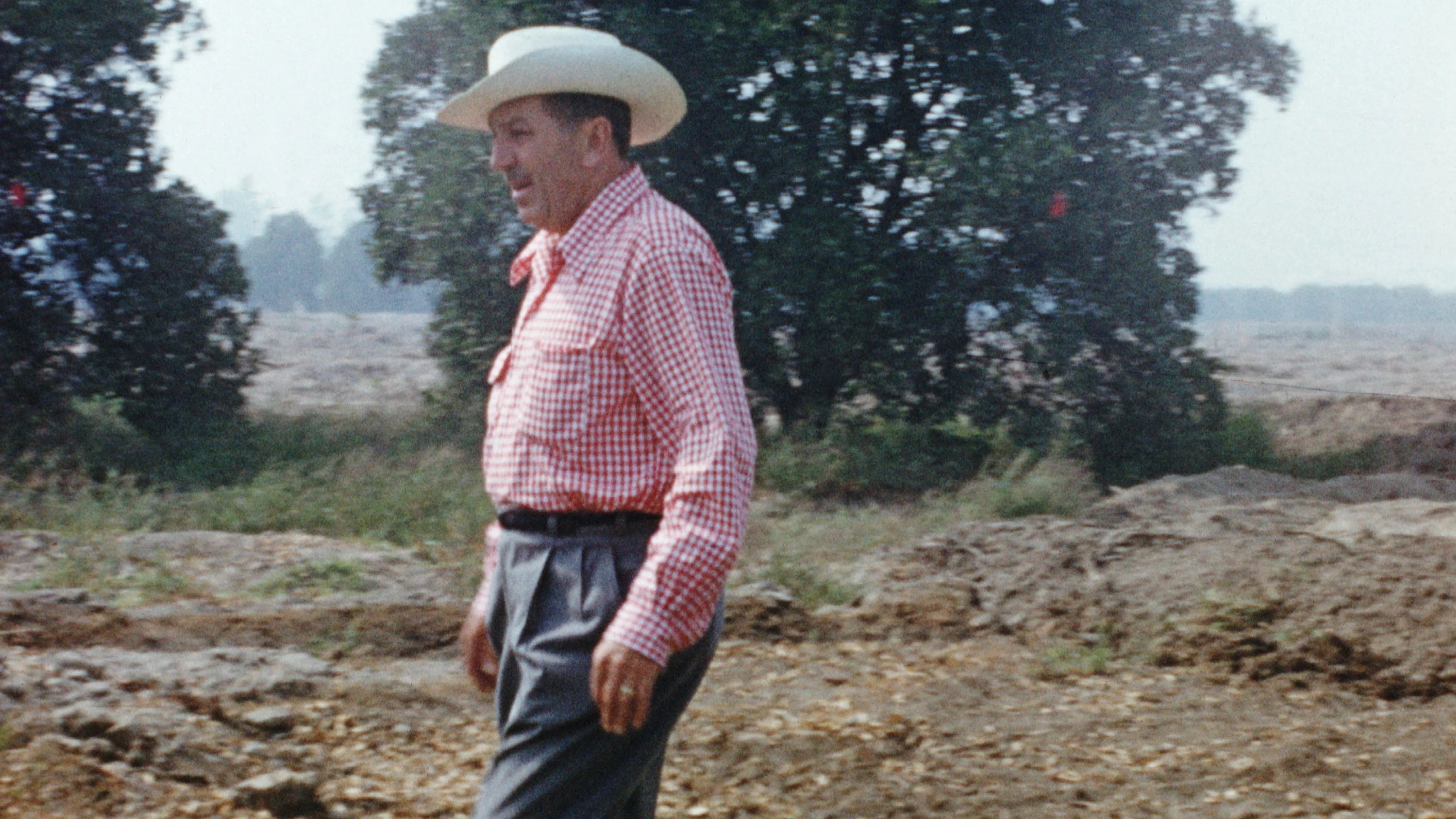 Unique Disneyland Handcrafted (2026) gift ideas - Available at Popcorn Poster