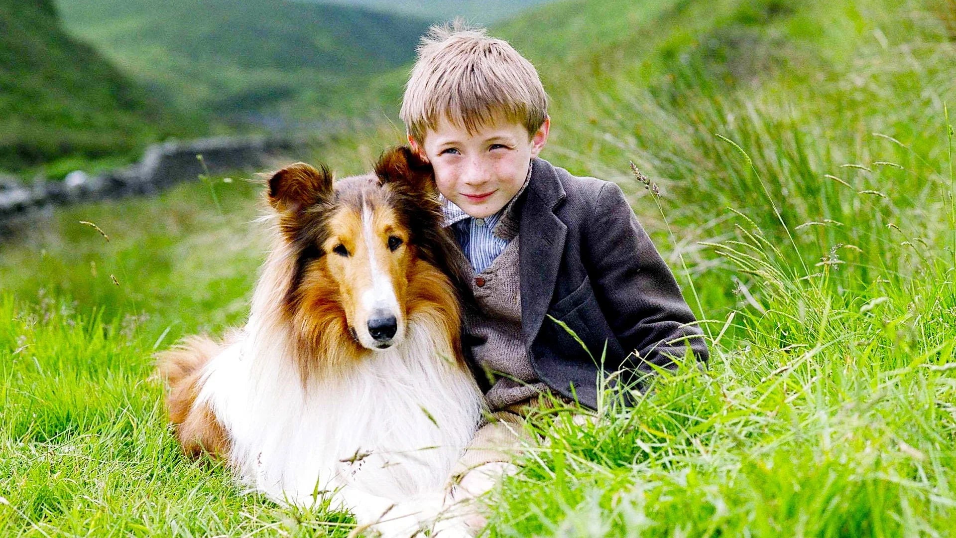 Unique Lassie (2005) gift ideas - Available at Popcorn Poster