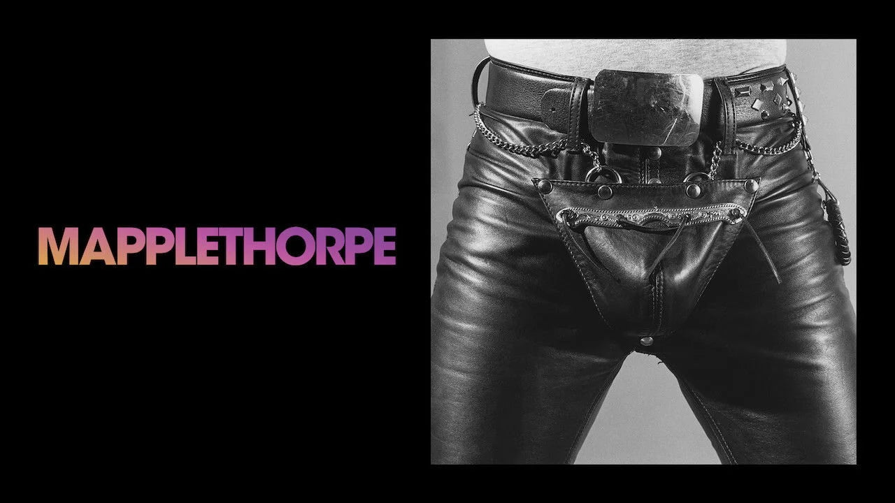 Unique Mapplethorpe (2019) gift ideas - Available at Popcorn Poster