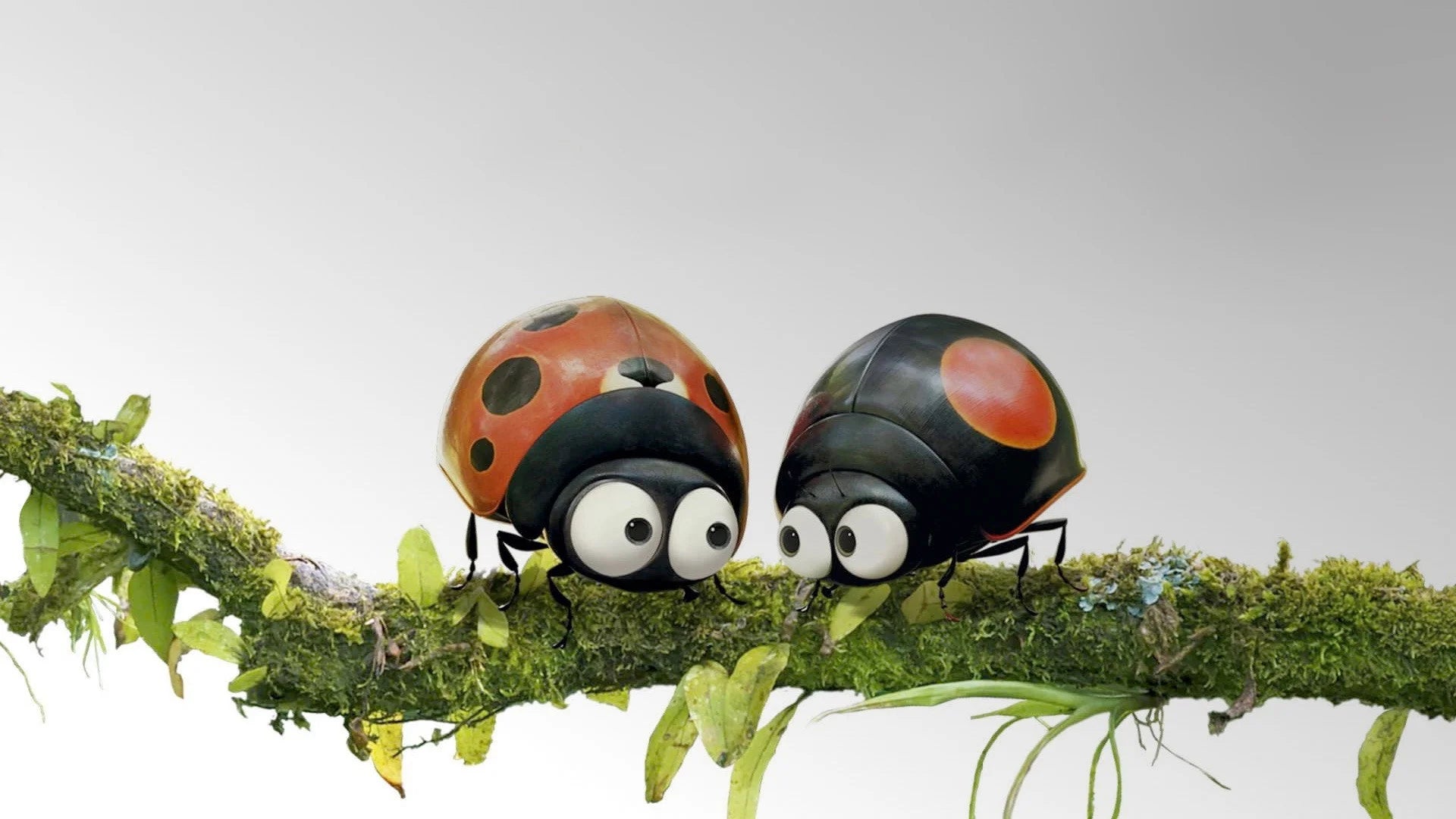 Unique Minuscule The Private Life of Insects (2006) gift ideas - Available at Popcorn Poster
