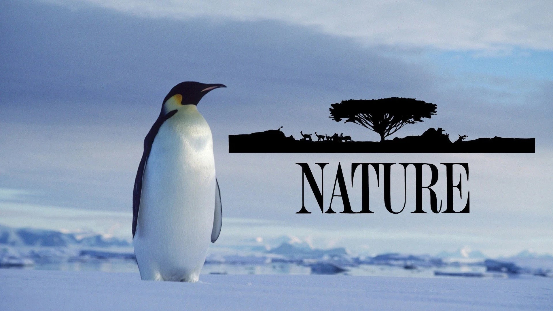 Unique Nature (1982) gift ideas - Available at Popcorn Poster