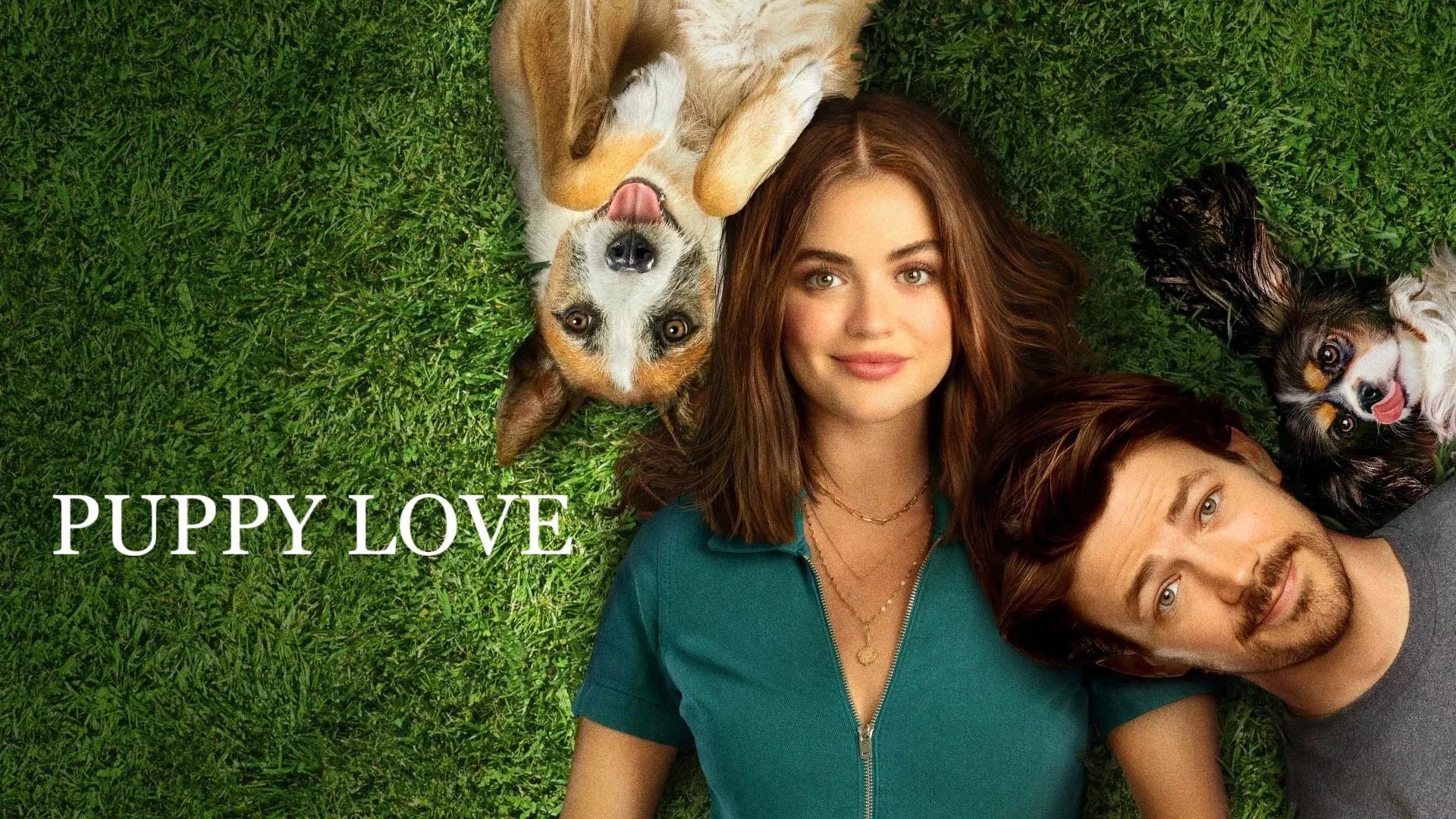 Unique Puppy Love (2023) gift ideas - Available at Popcorn Poster
