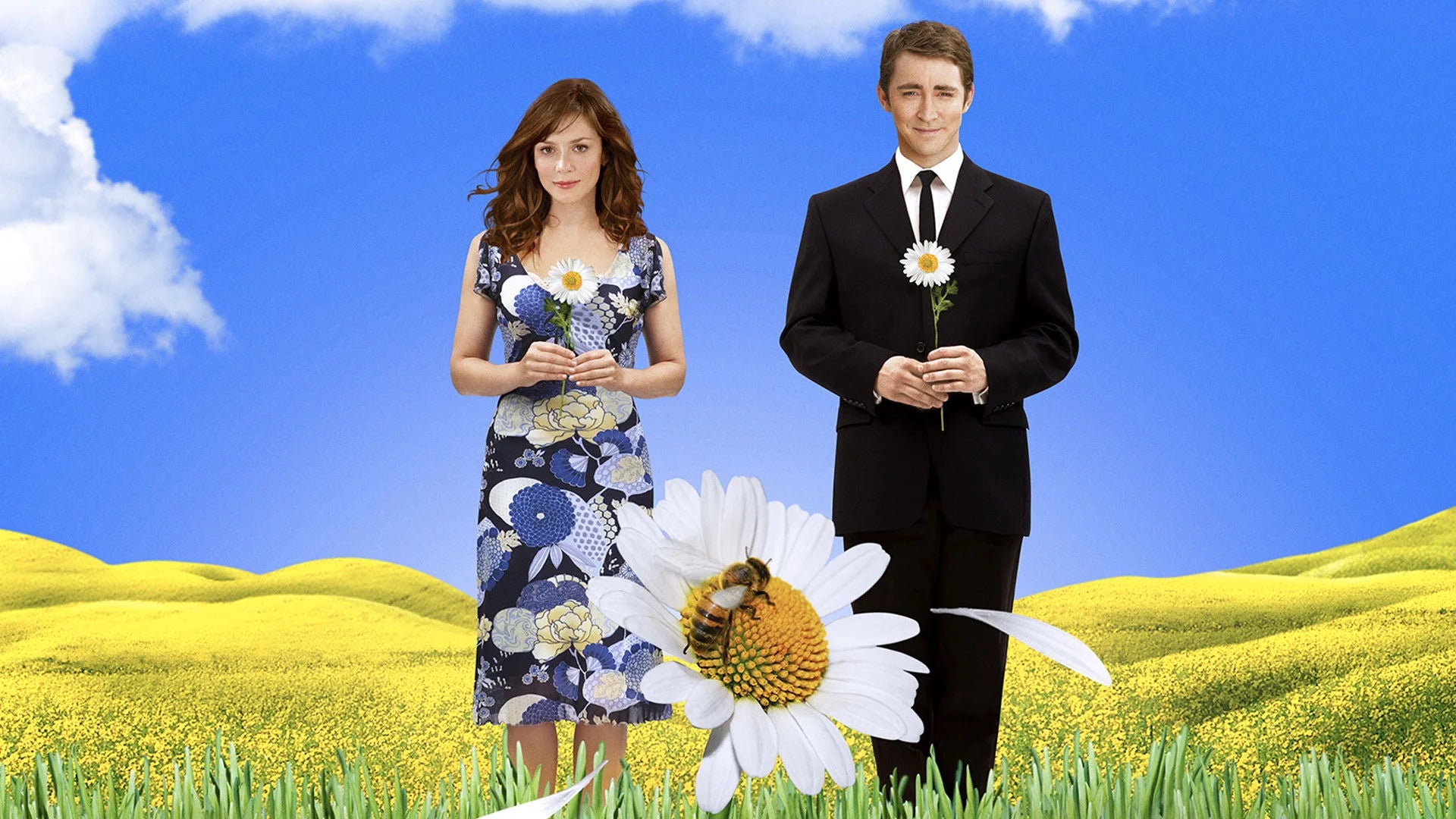 Unique Pushing Daisies (2007) gift ideas - Available at Popcorn Poster