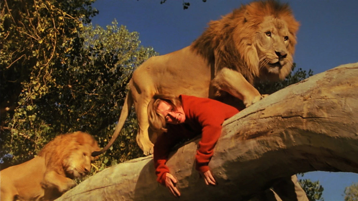 Unique Roar (1981) gift ideas - Available at Popcorn Poster