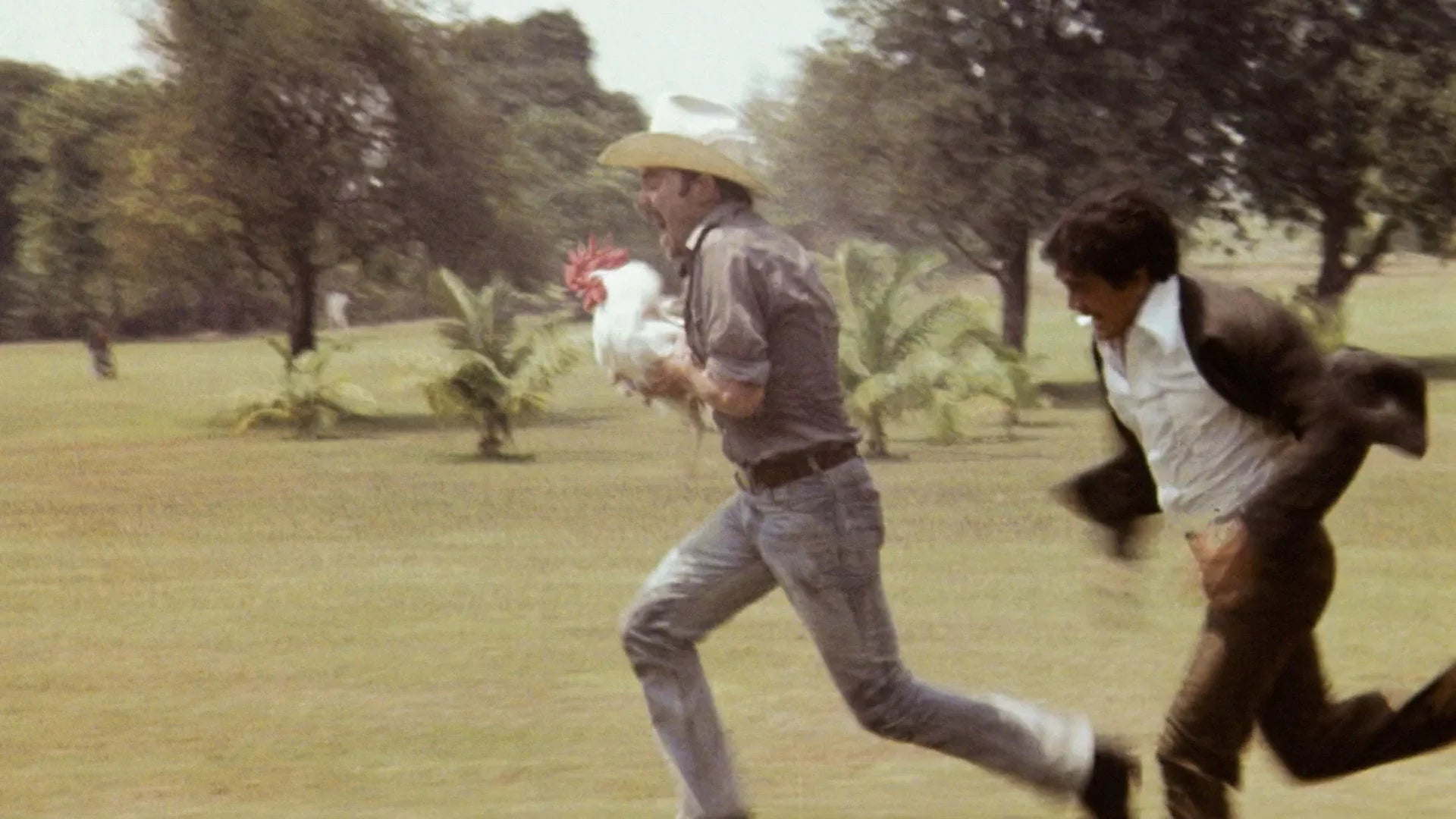 Unique Supercock (1975) gift ideas - Available at Popcorn Poster