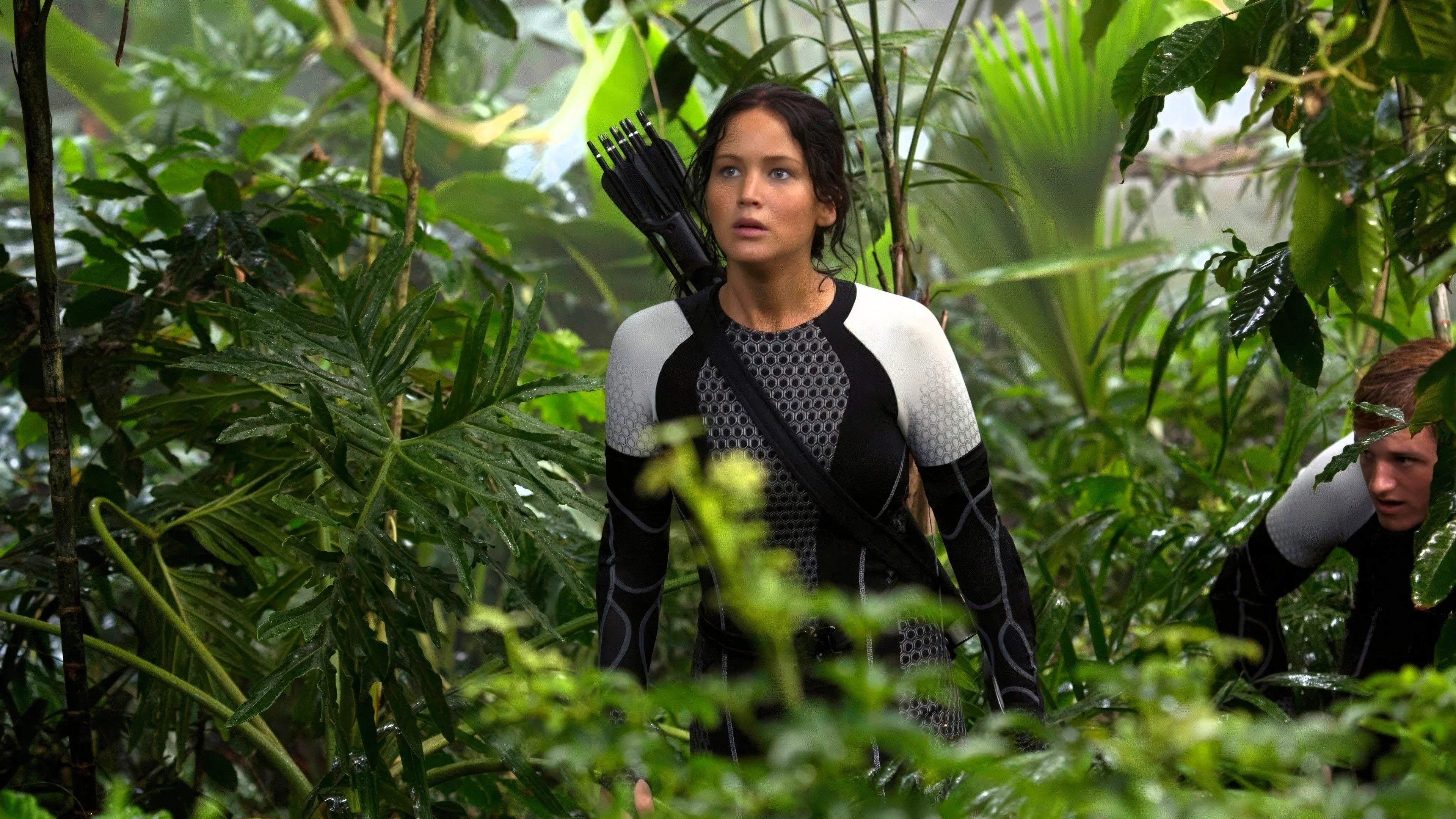 Unique The Hunger Games Catching Fire (2013) gift ideas - Available at Popcorn Poster