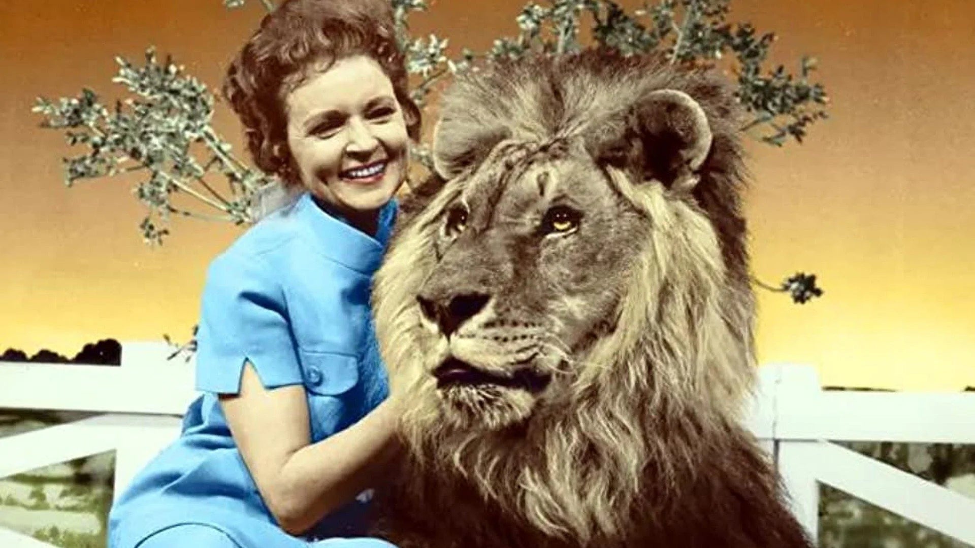 Unique The Pet Set (1971) gift ideas - Available at Popcorn Poster