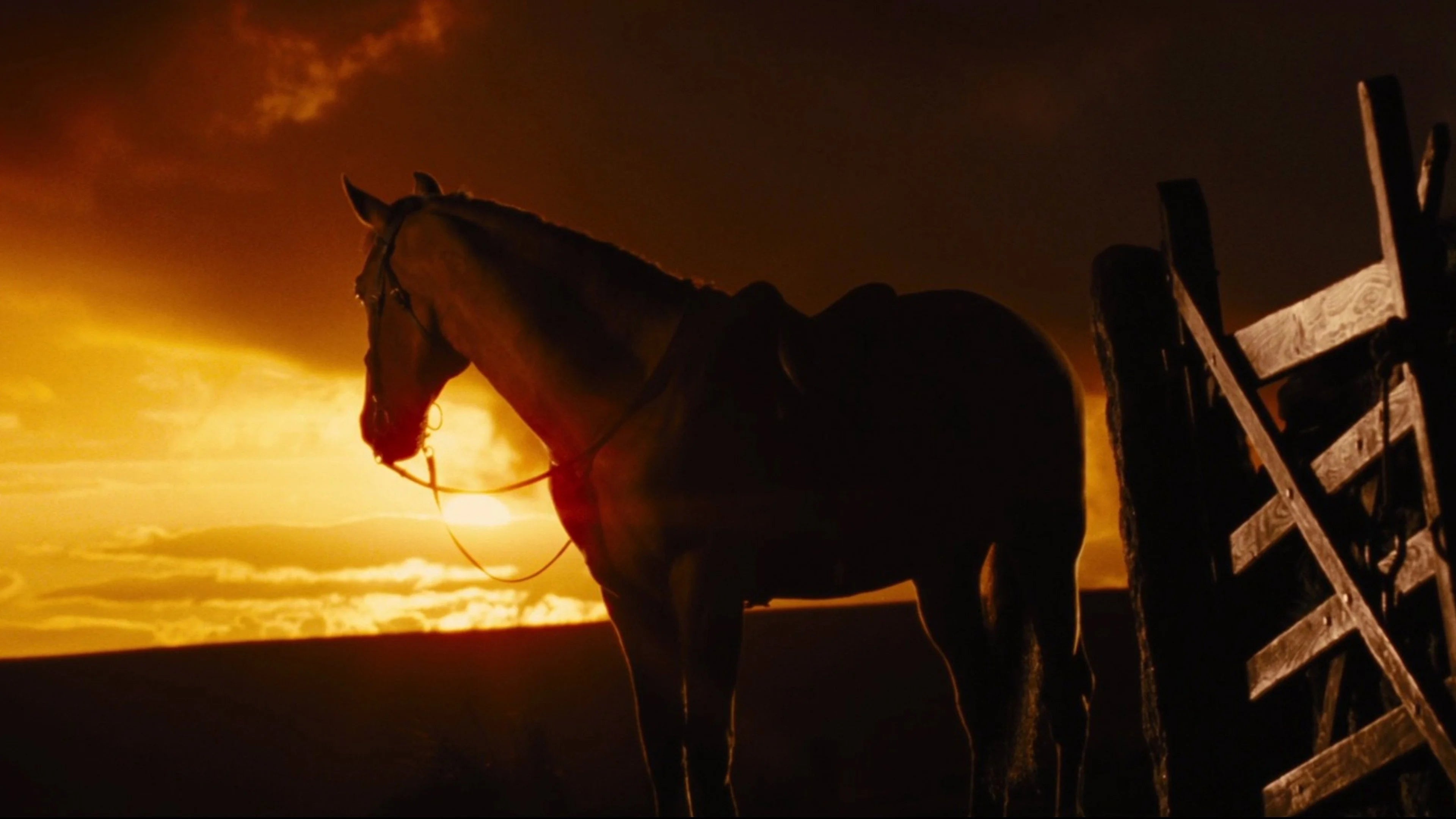 Unique War Horse (2011) gift ideas - Available at Popcorn Poster