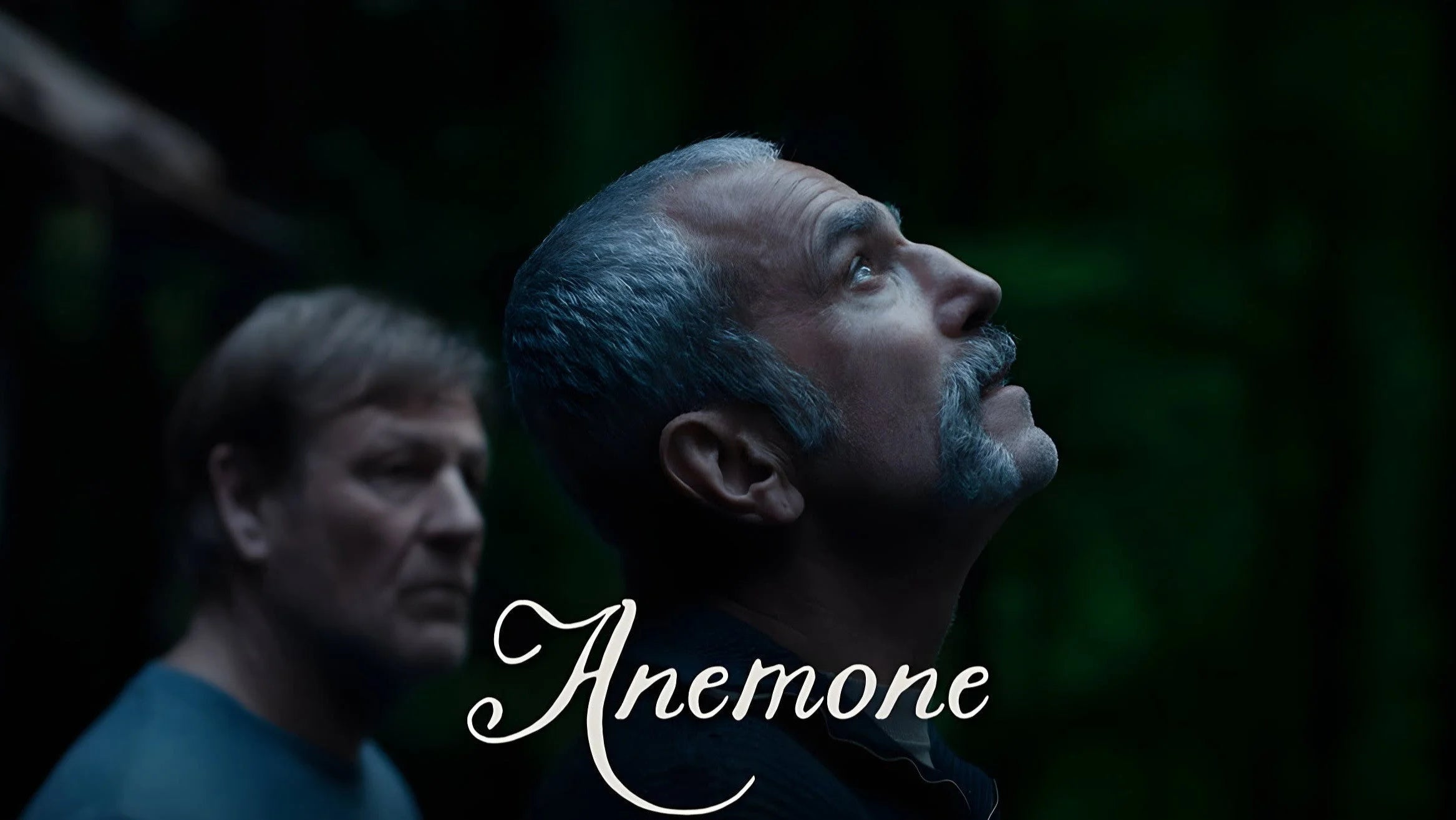 Where to buy Anemone (2025) posters - Popcorn Poster Shop