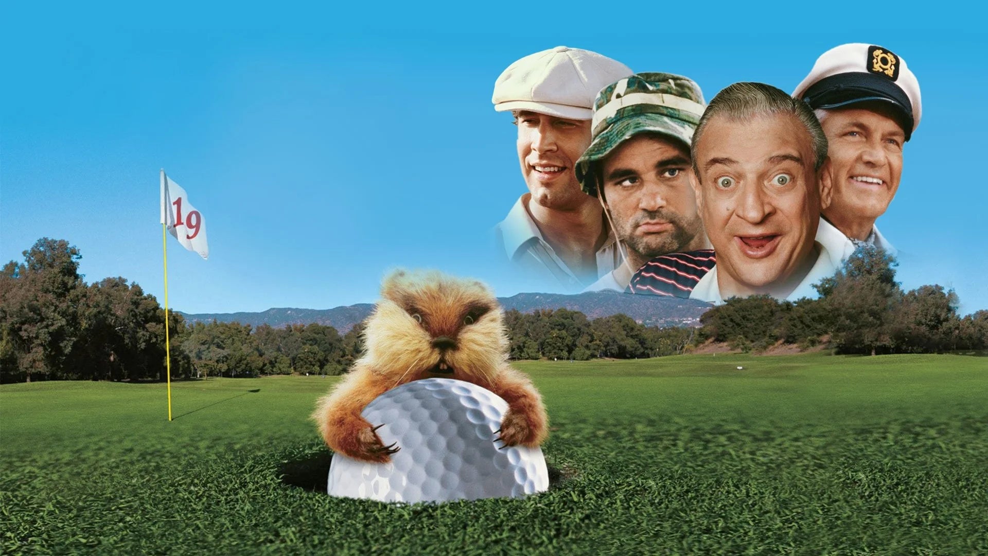 Where to buy Caddyshack (1980) posters - Popcorn Poster Shop