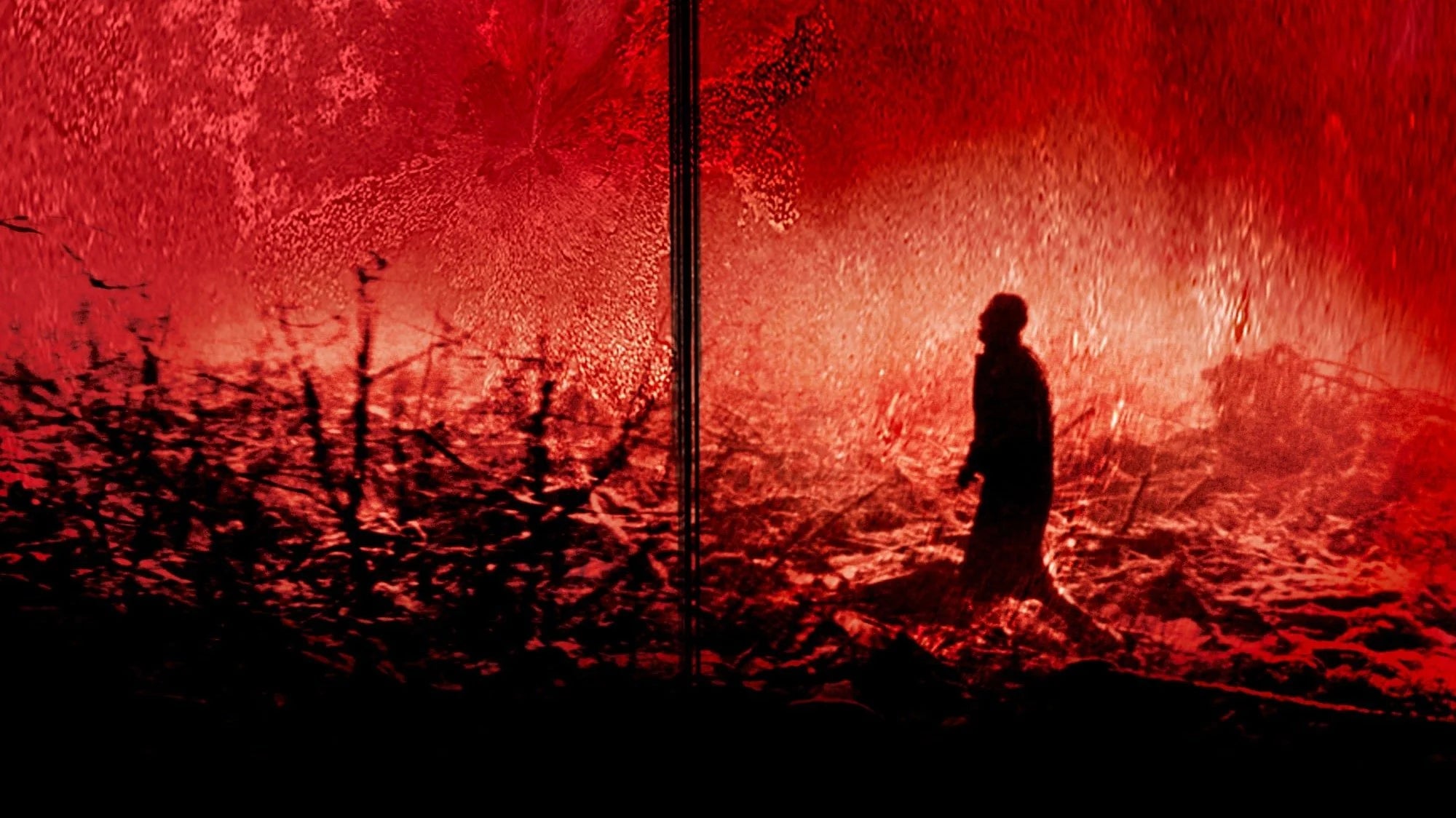 Where to buy Calvaire (2005) posters - Popcorn Poster Shop