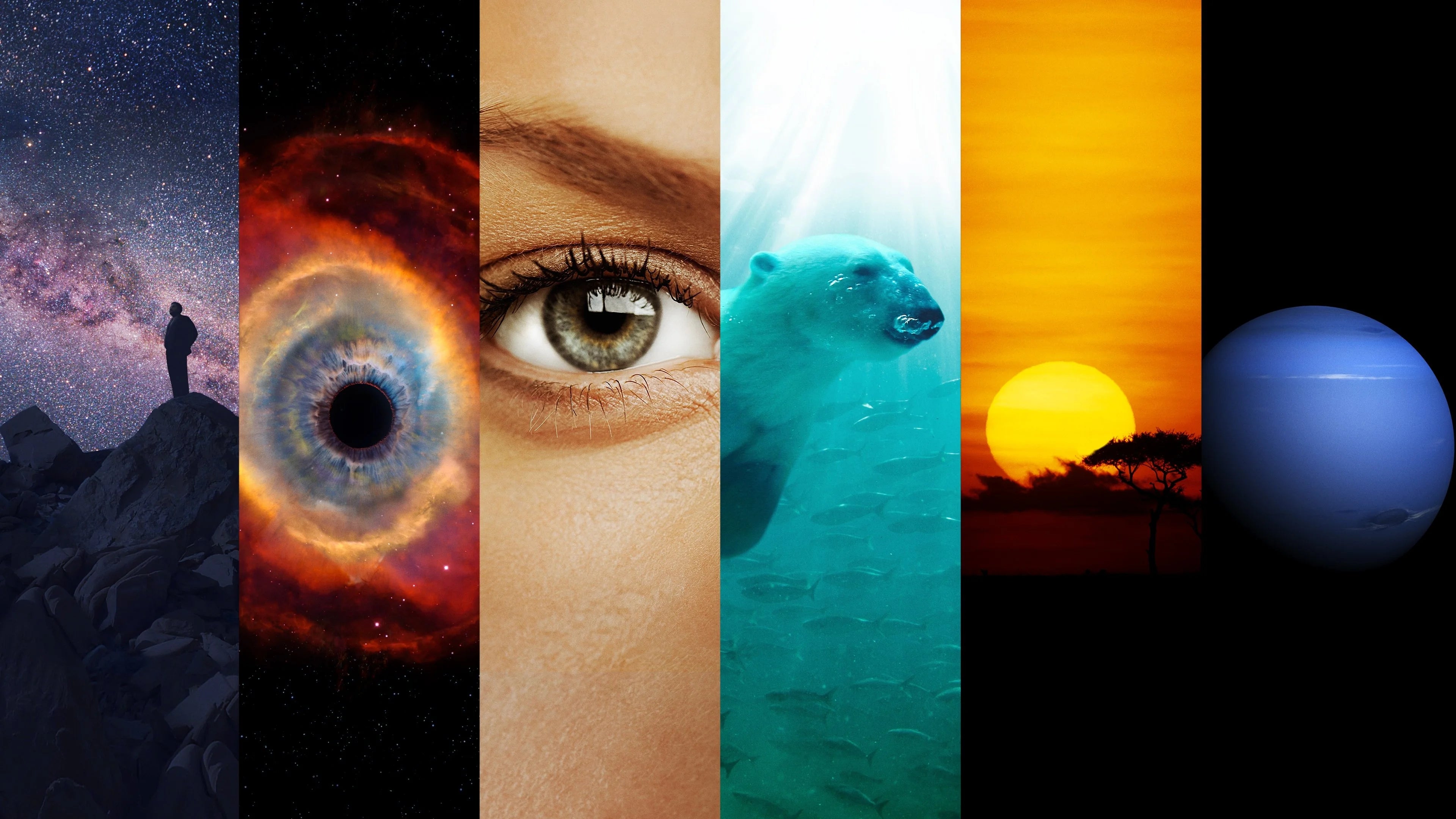 Where to buy Cosmos (2014) posters - Popcorn Poster Shop