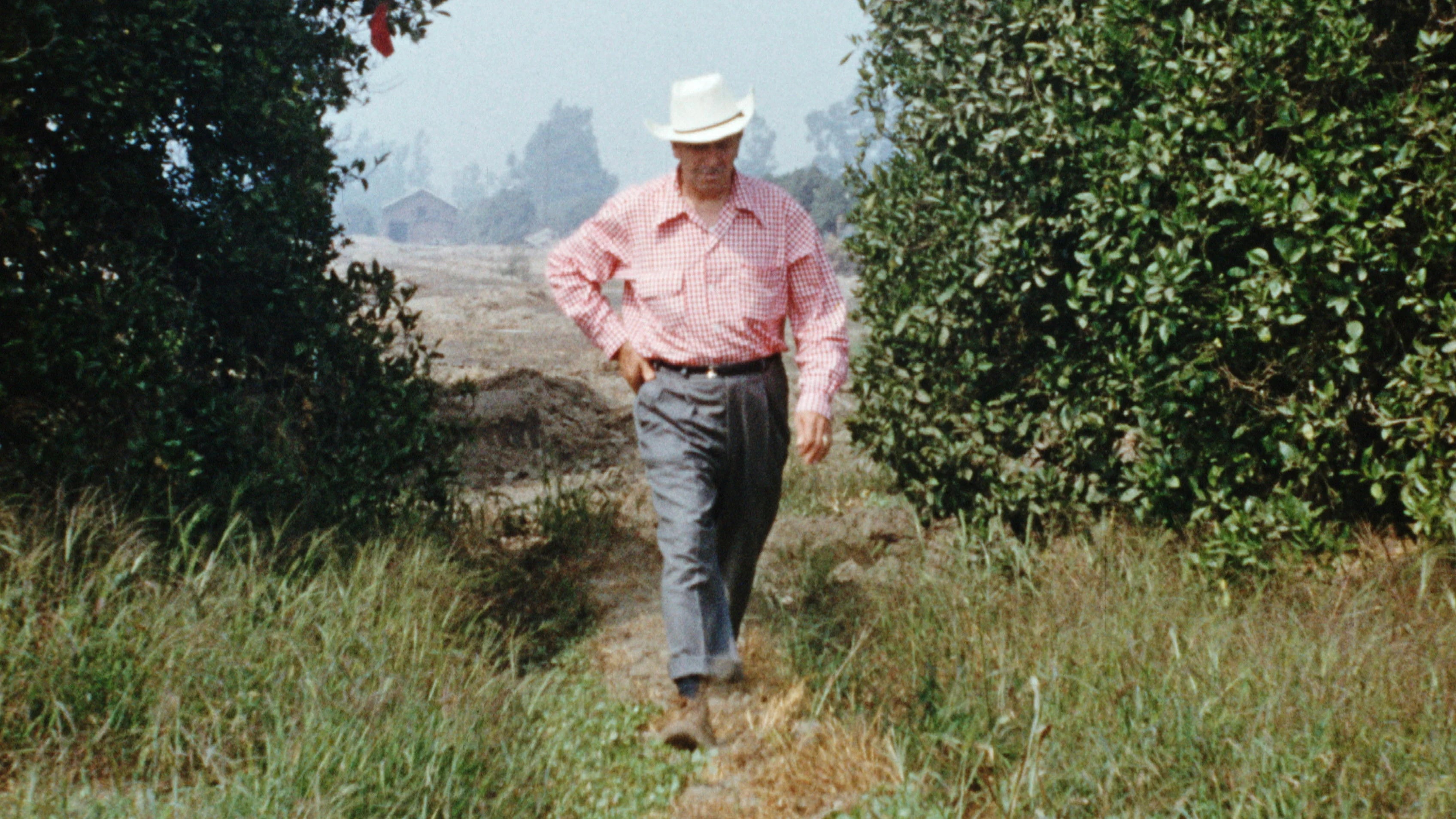 Where to buy Disneyland Handcrafted (2026) posters - Popcorn Poster Shop