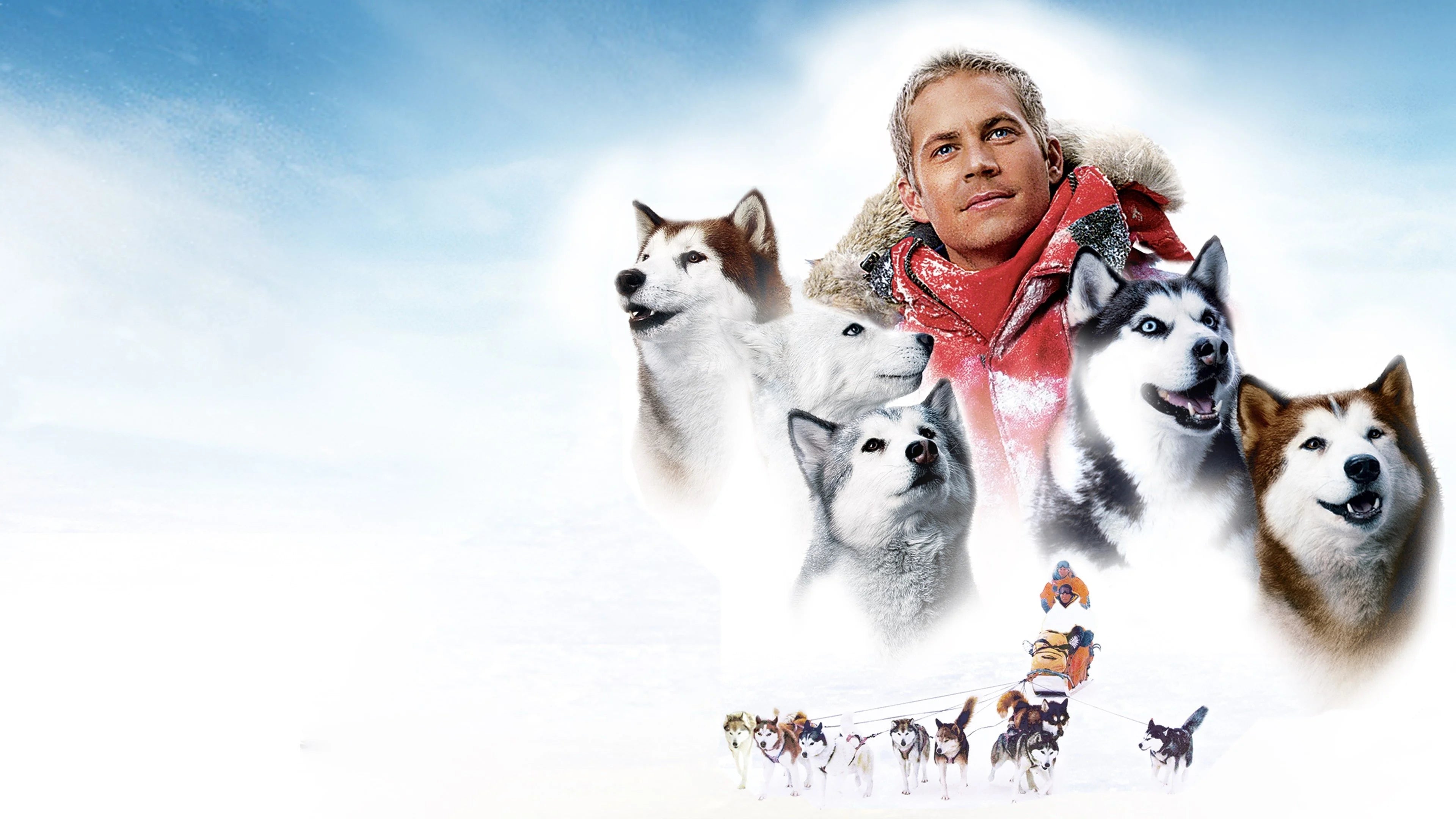Where to buy Eight Below (2006) posters - Popcorn Poster Shop