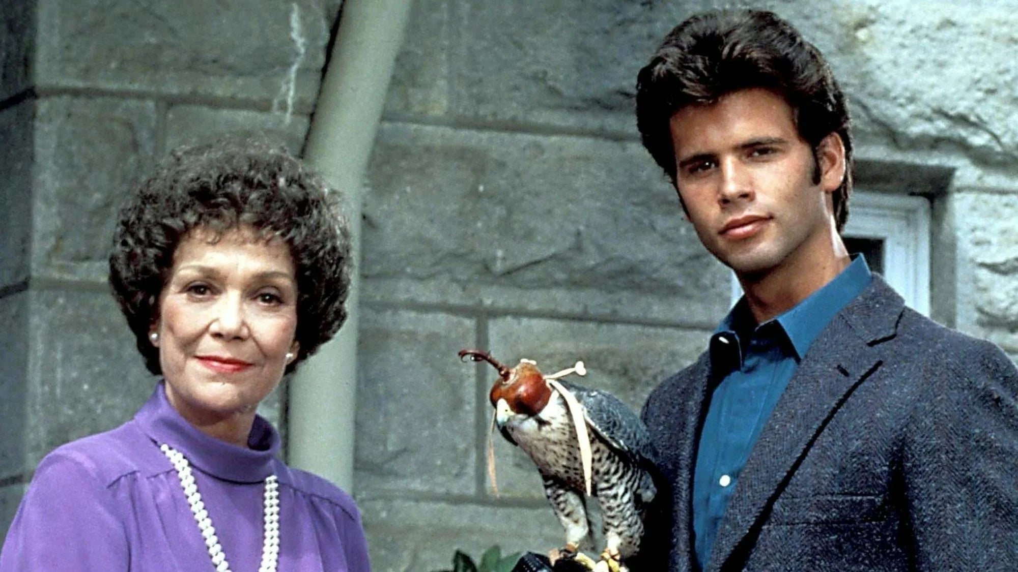 Where to buy Falcon Crest (1981) posters - Popcorn Poster Shop