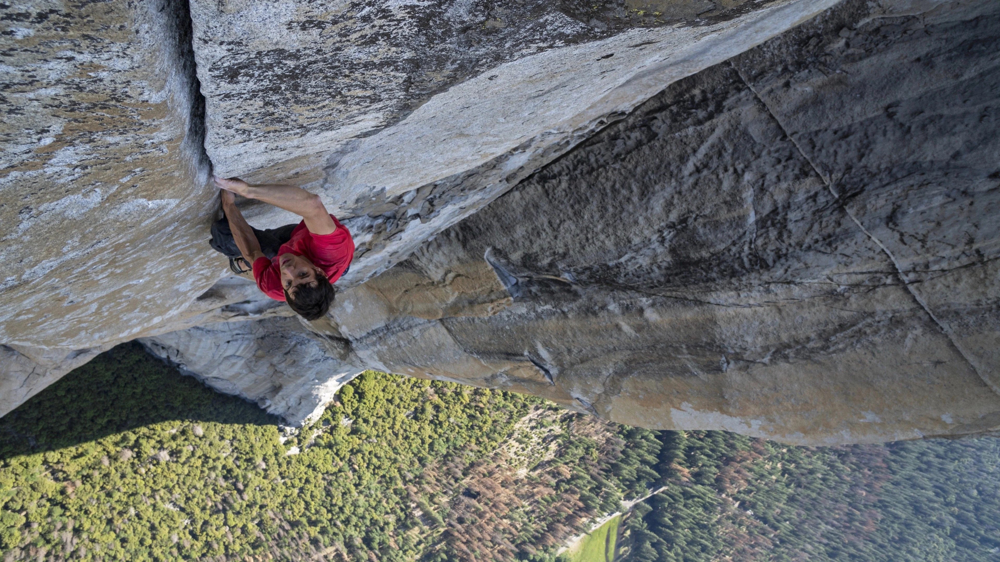 Where to buy Free Solo (2018) posters - Popcorn Poster Shop