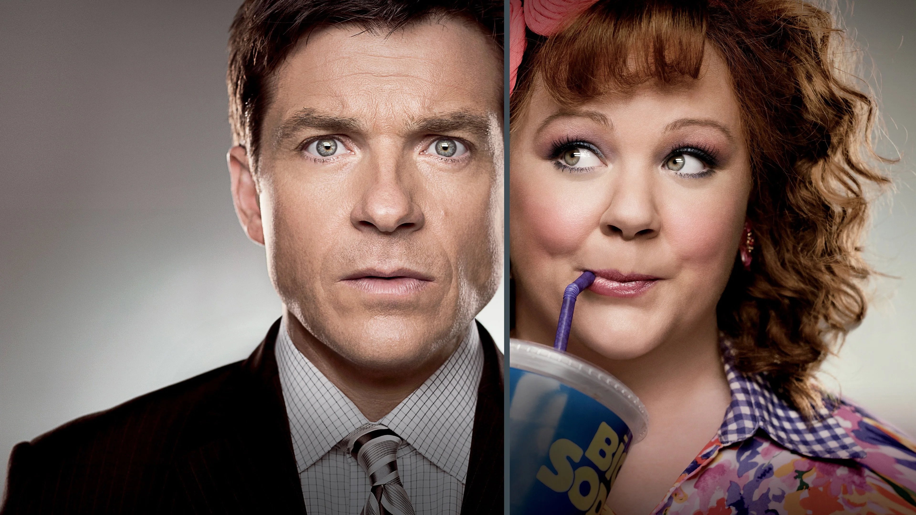 Where to buy Identity Thief (2013) posters - Popcorn Poster Shop