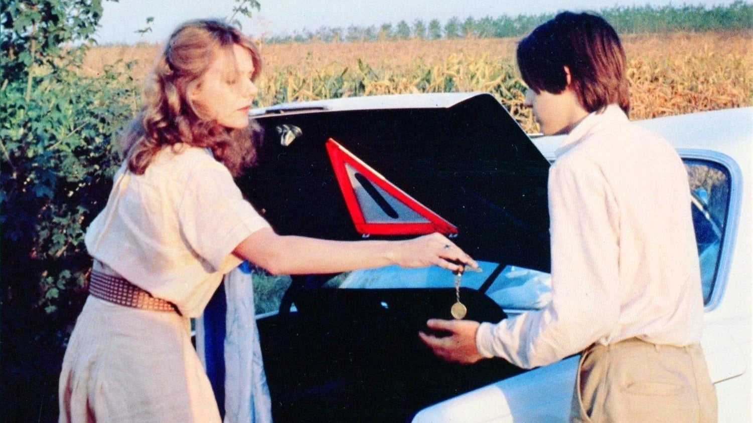 Where to buy Luna (1979) posters - Popcorn Poster Shop