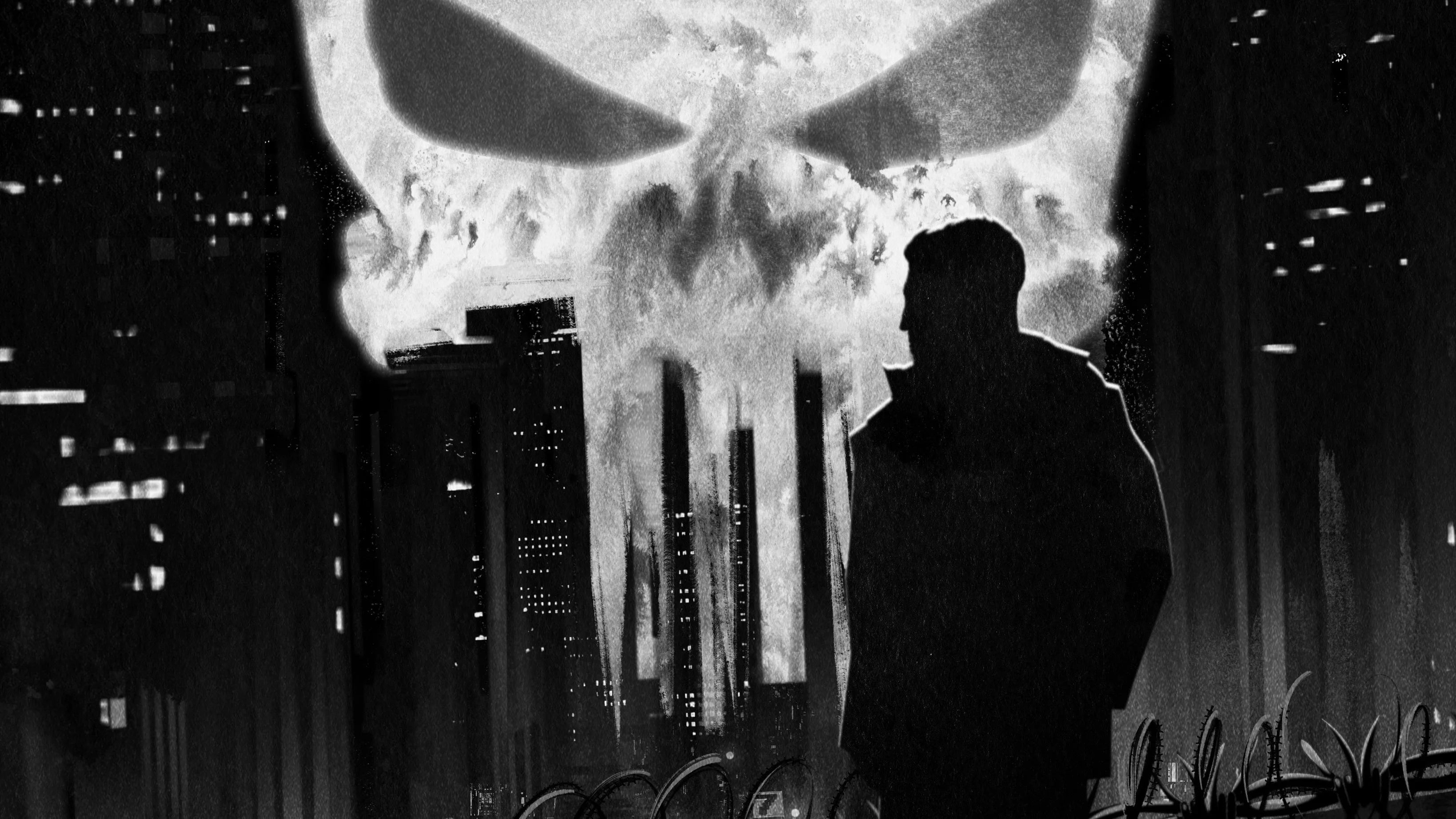 Where to buy Marvel's The Punisher (2017) posters - Popcorn Poster Shop