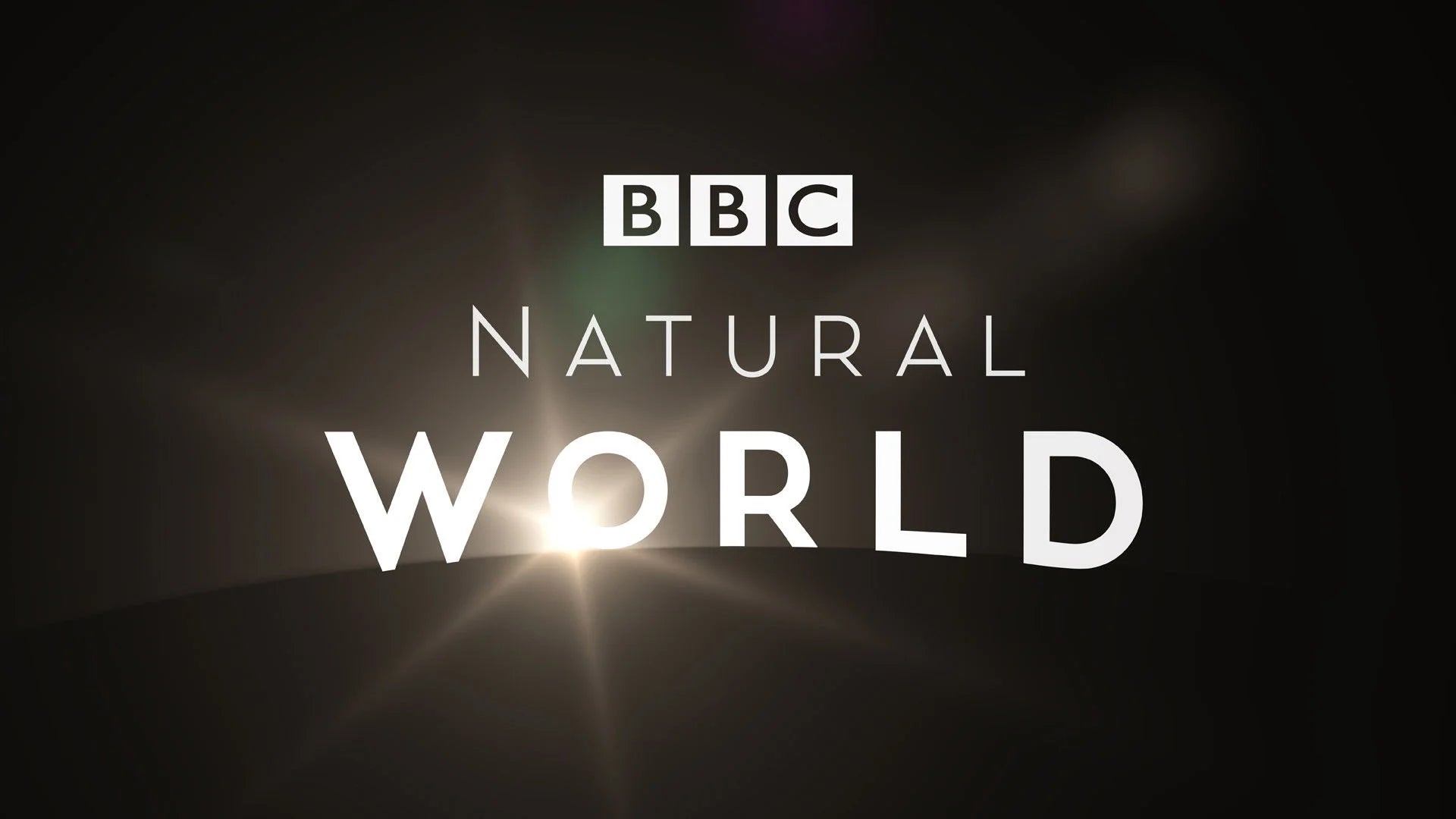 Where to buy Natural World (1983) posters - Popcorn Poster Shop