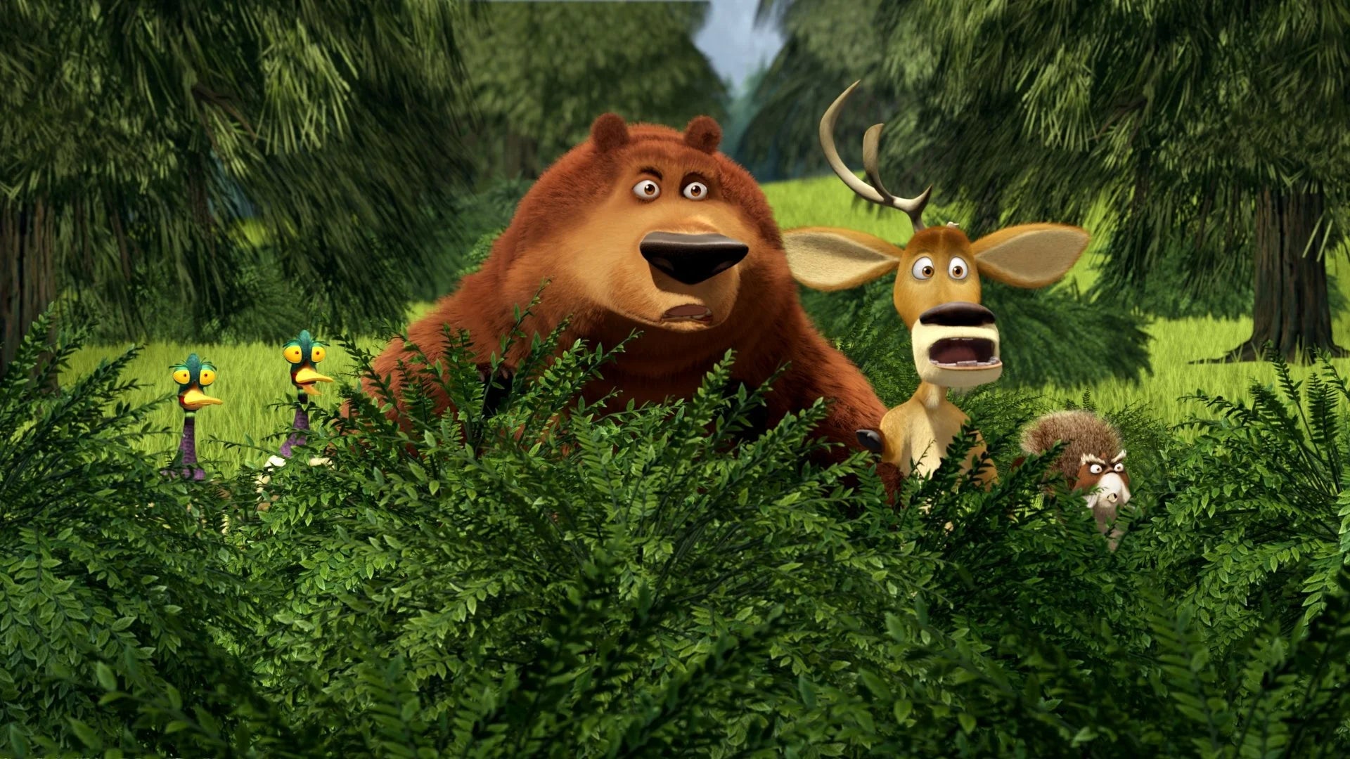 Where to buy Open Season 2 (2008) posters - Popcorn Poster Shop