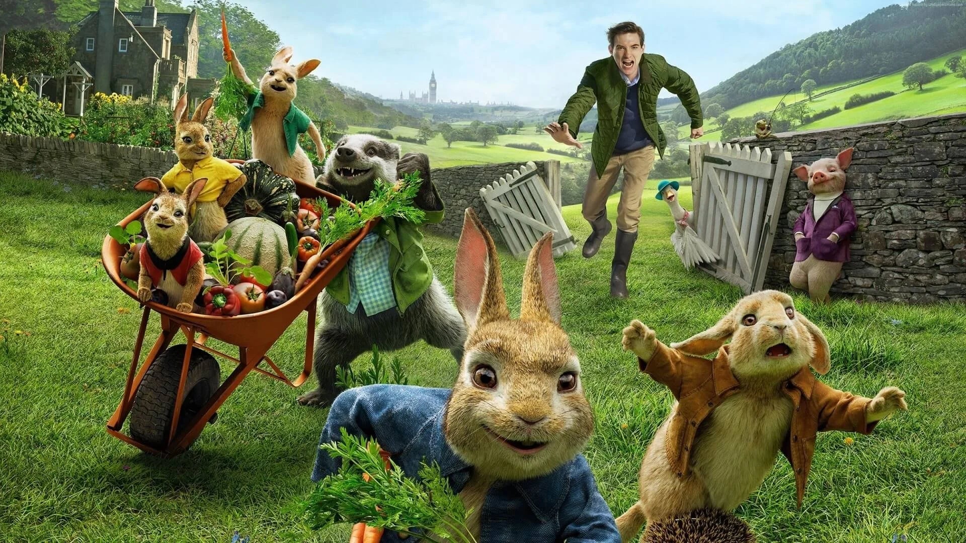 Where to buy Peter Rabbit (2018) posters - Popcorn Poster Shop