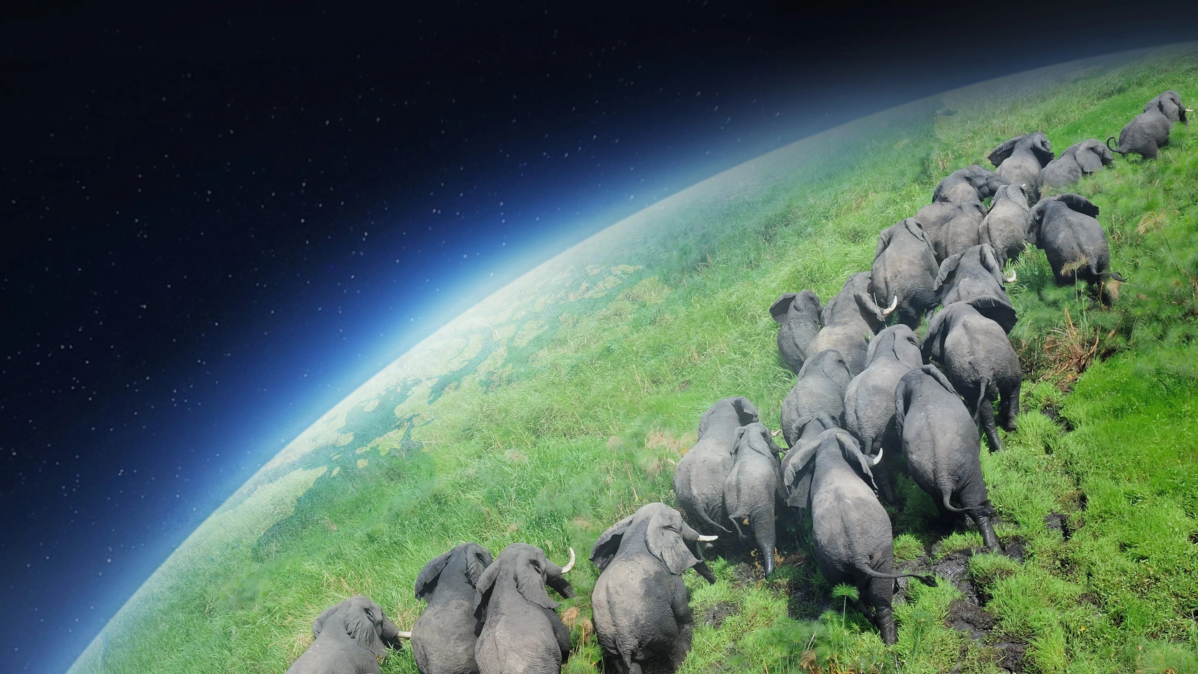 Where to buy Planet Earth (2006) posters - Popcorn Poster Shop