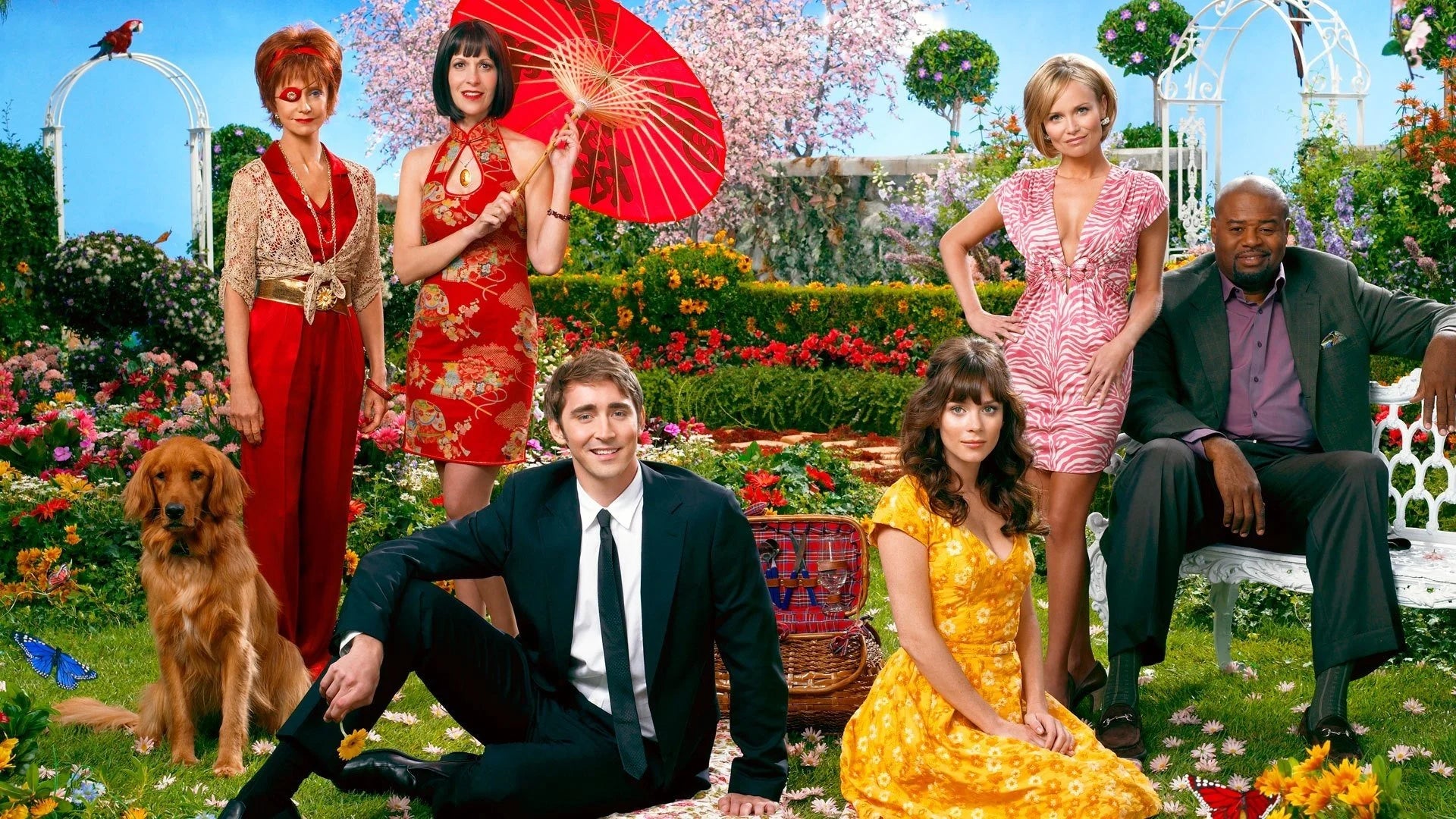 Where to buy Pushing Daisies (2007) posters - Popcorn Poster Shop