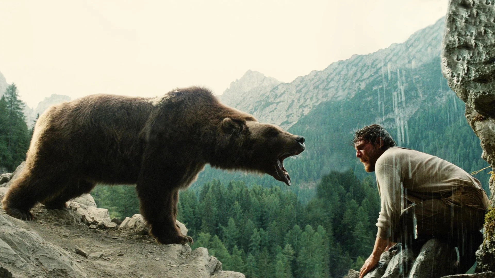 Where to buy The Bear (1988) posters - Popcorn Poster Shop