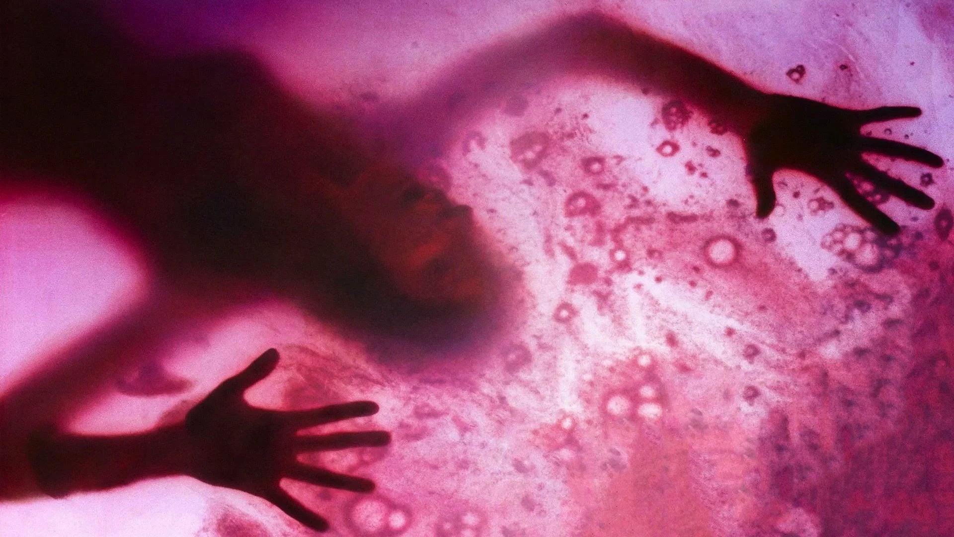 Where to buy The Blob (1988) posters - Popcorn Poster Shop