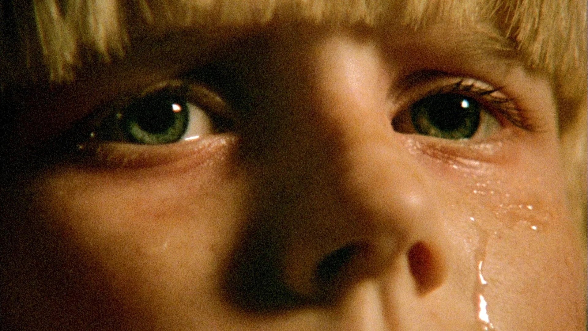 Where to buy The Brood (1979) posters - Popcorn Poster Shop