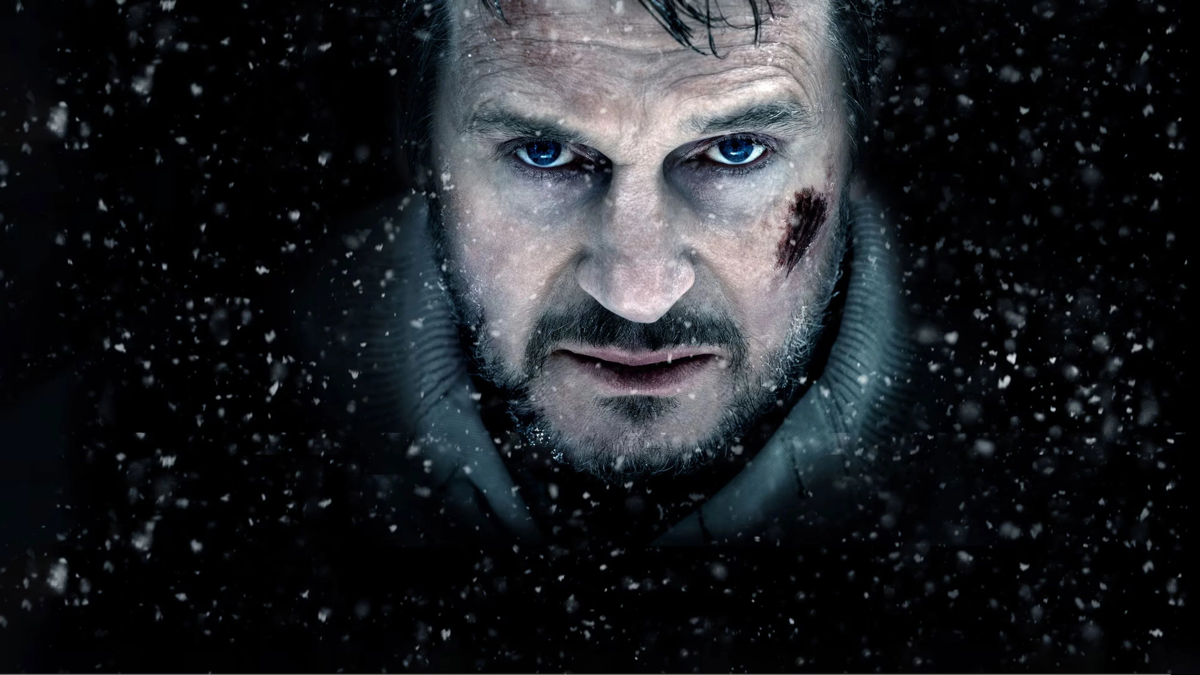 Where to buy The Grey (2012) posters - Popcorn Poster Shop