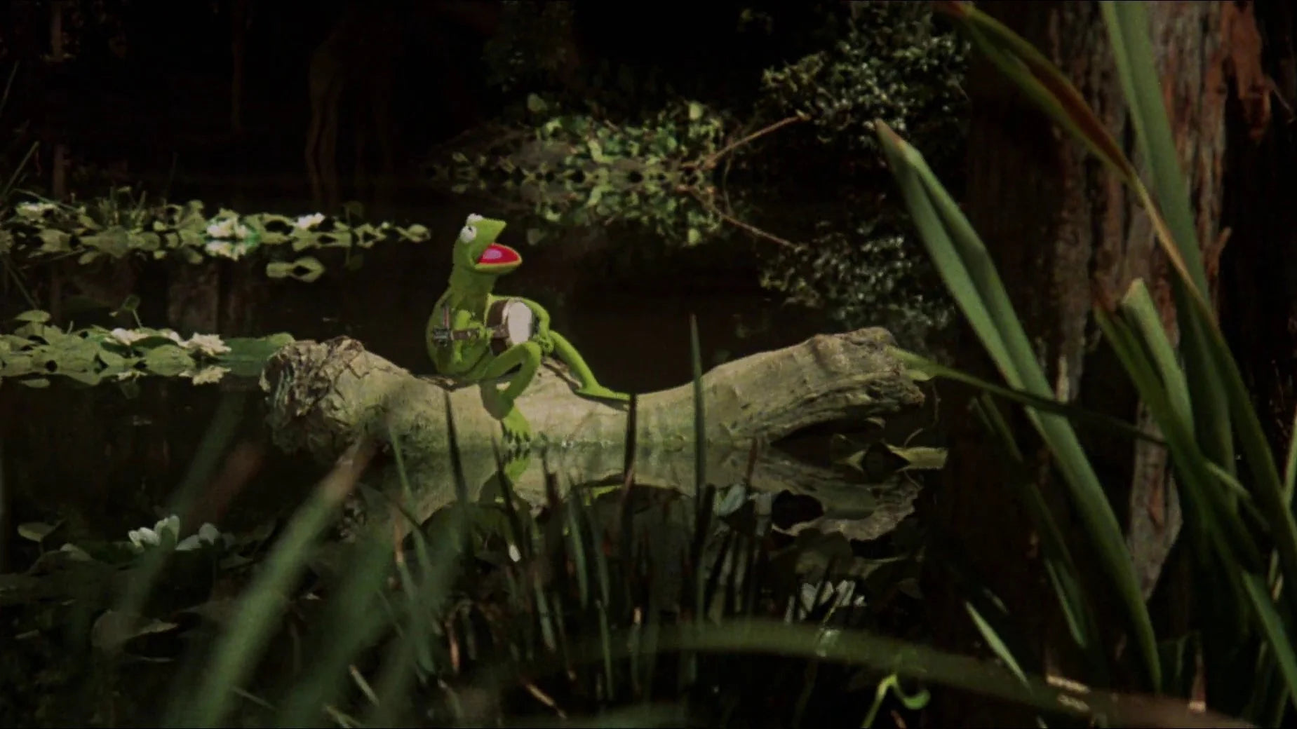 Where to buy The Muppet Movie (1979) posters - Popcorn Poster Shop