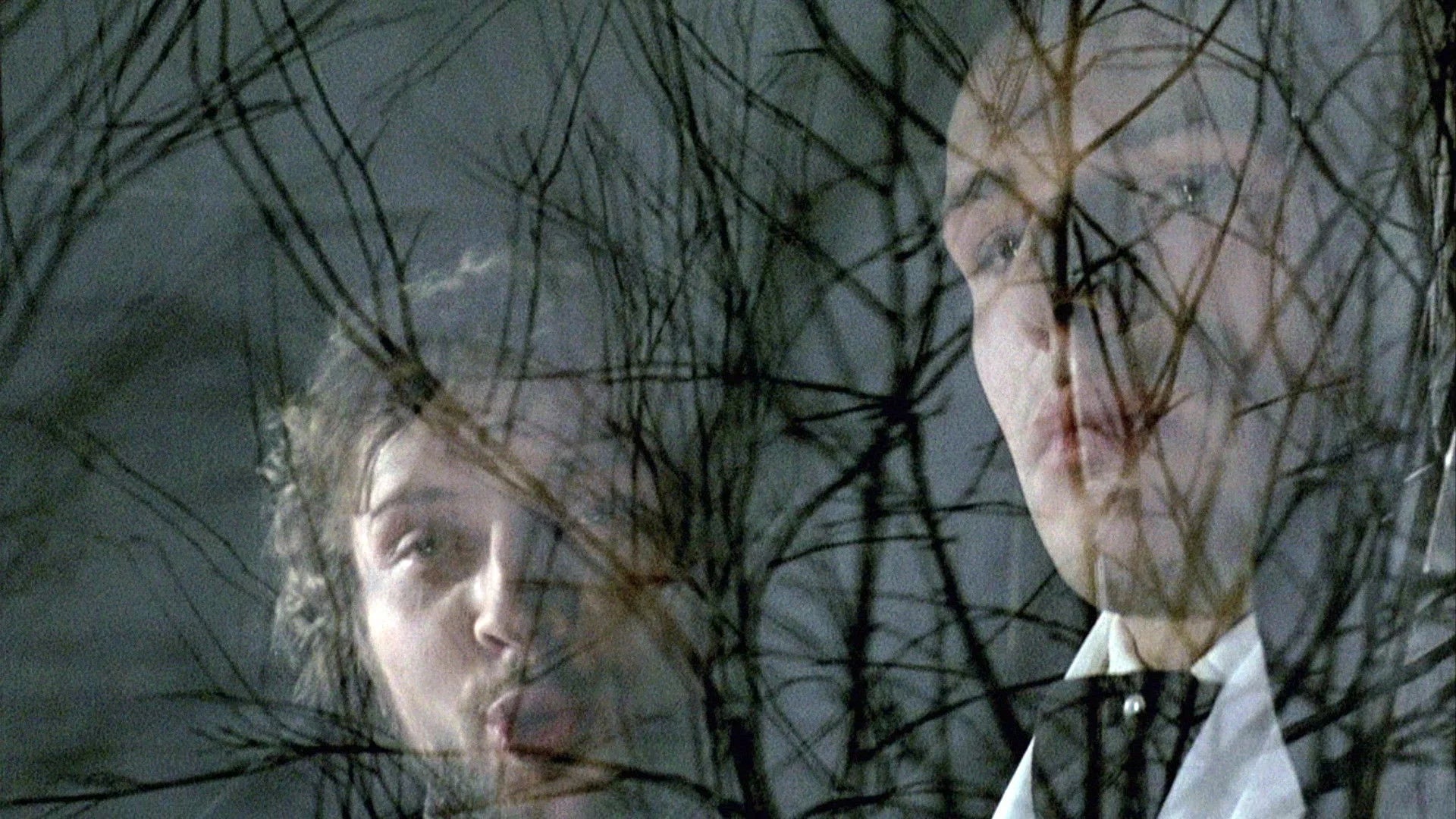 Where to buy The Possessed (1988) posters - Popcorn Poster Shop