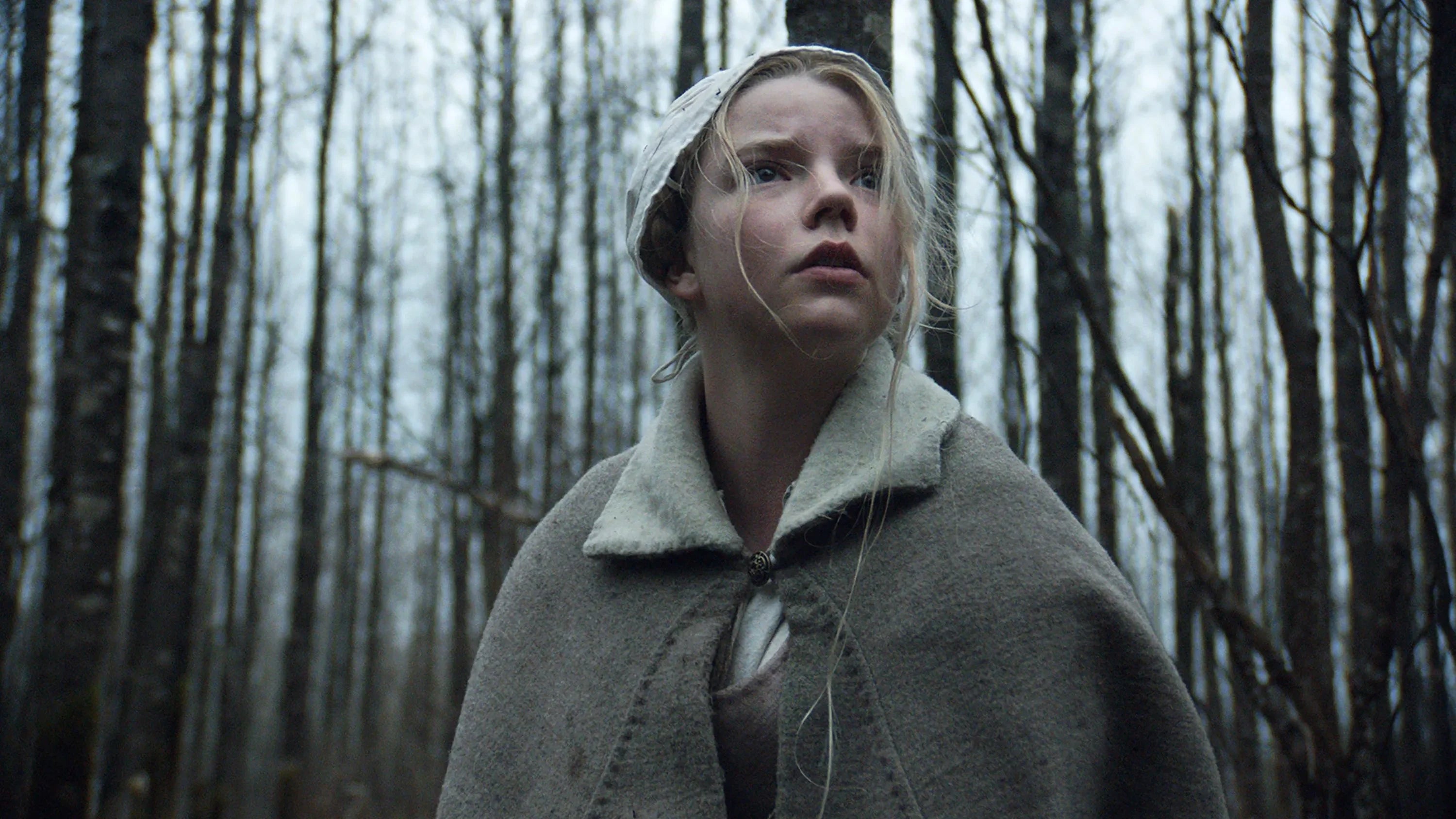 Where to buy The Witch (2016) posters - Popcorn Poster Shop